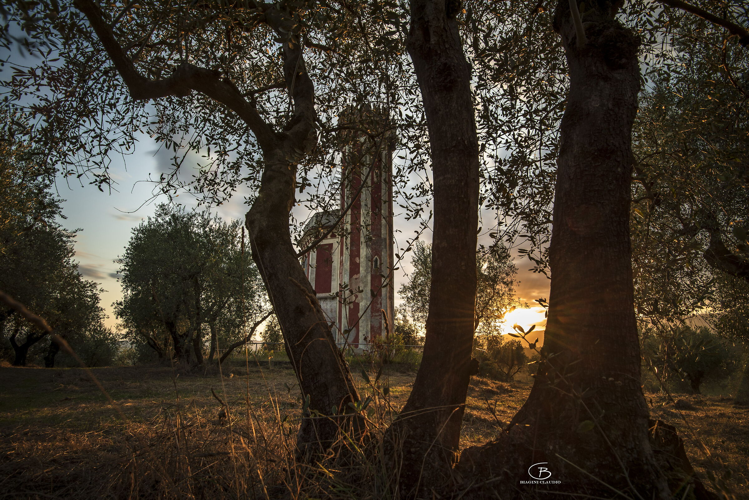 St. Alexios Tower among olive trees