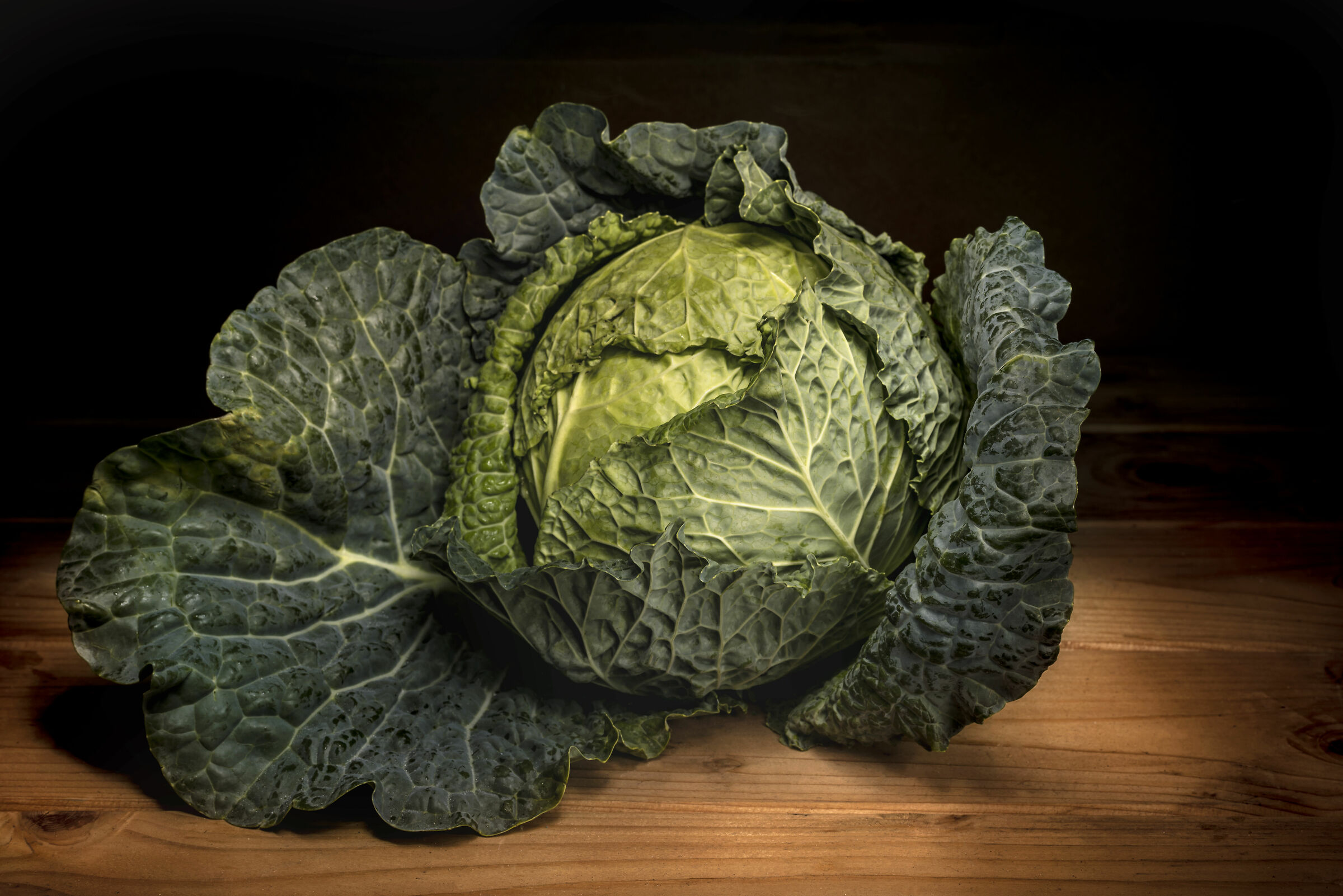 Verza in light painting