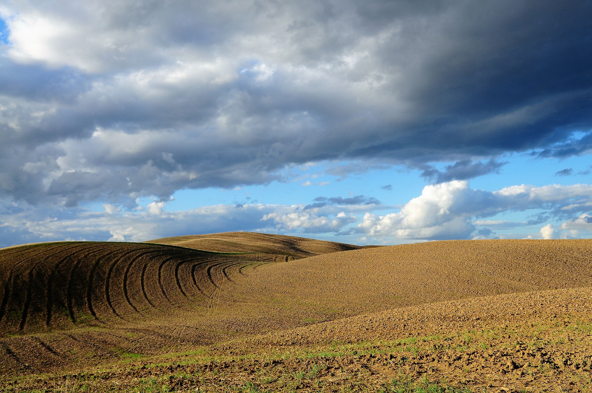 Val d'Orcia...e sto!