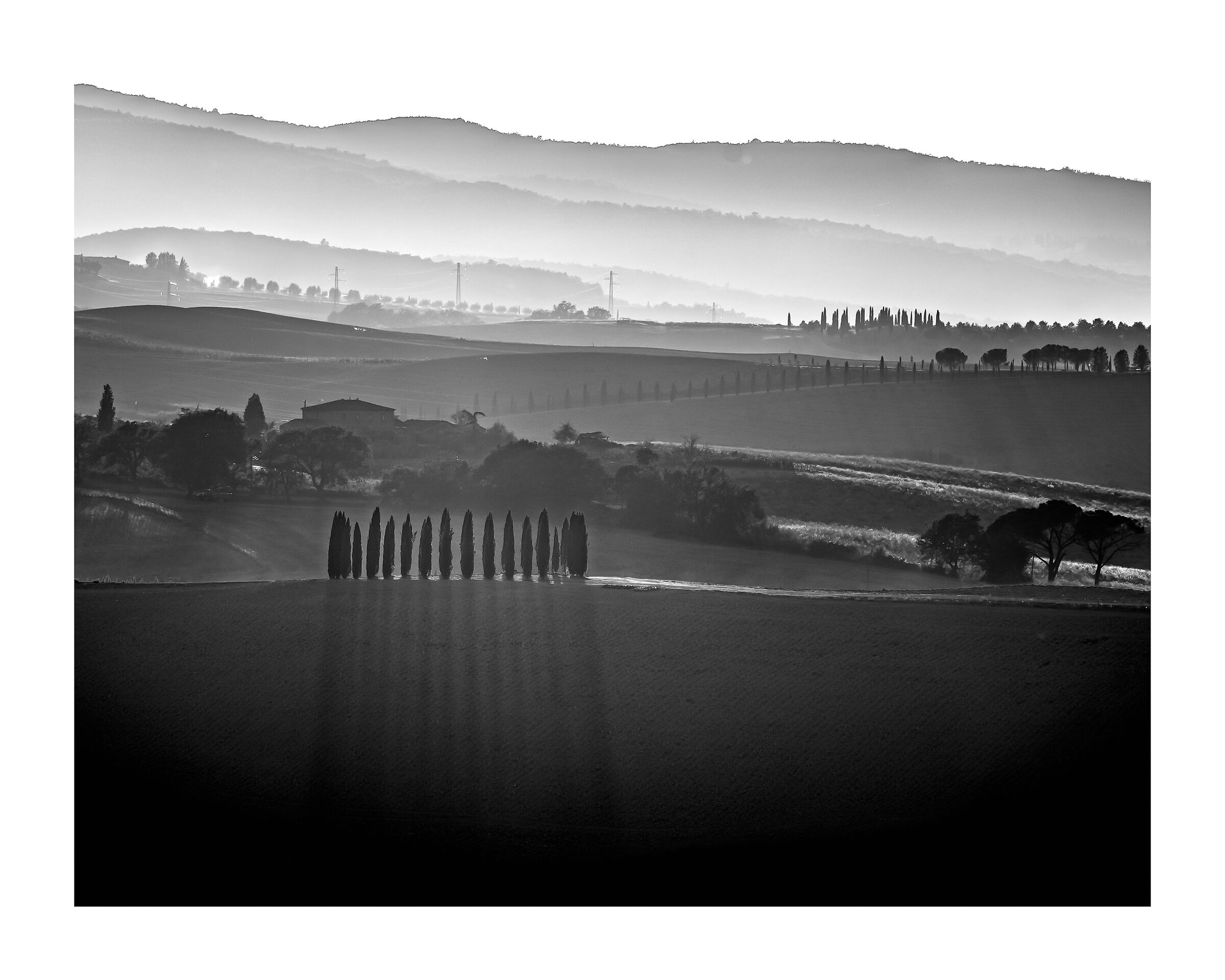 Le ombre dei cipressi