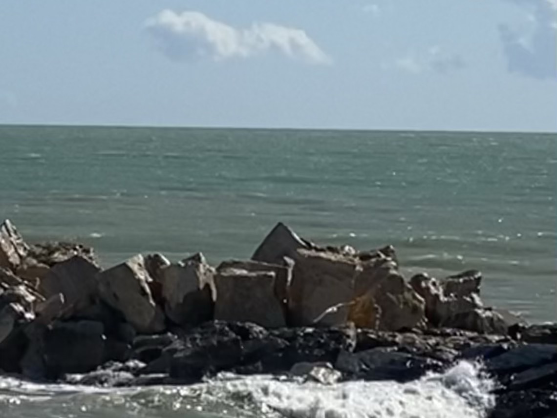Seagulls in flight, on rough seas