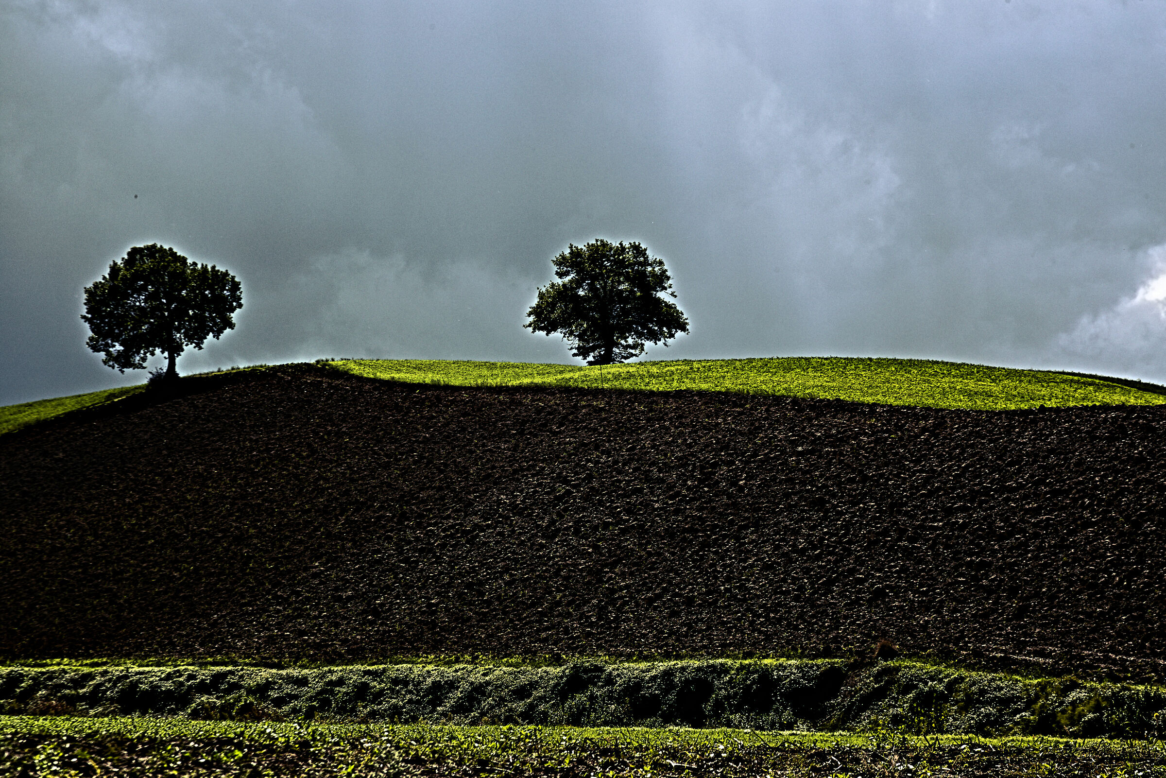 Cartoline dalla Val D'Orcia 1