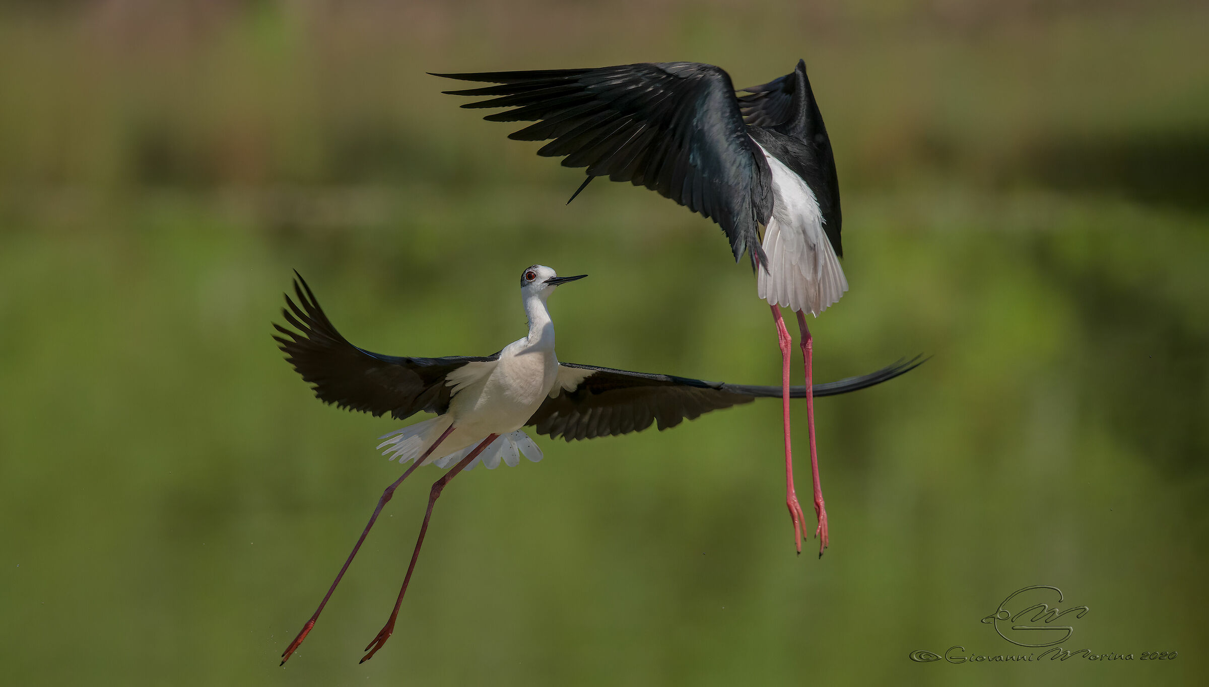 Dispute territoriali