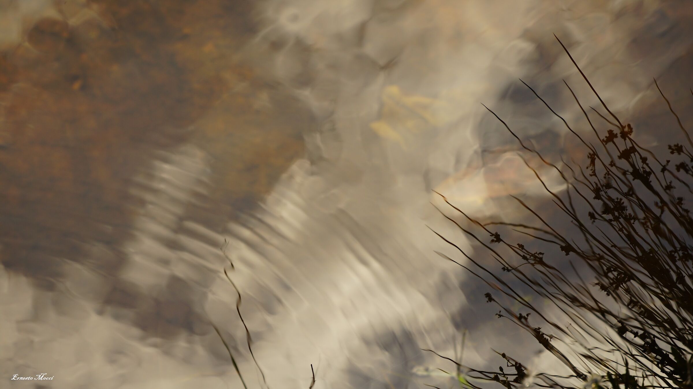 Arriving Somewhere But Not Here