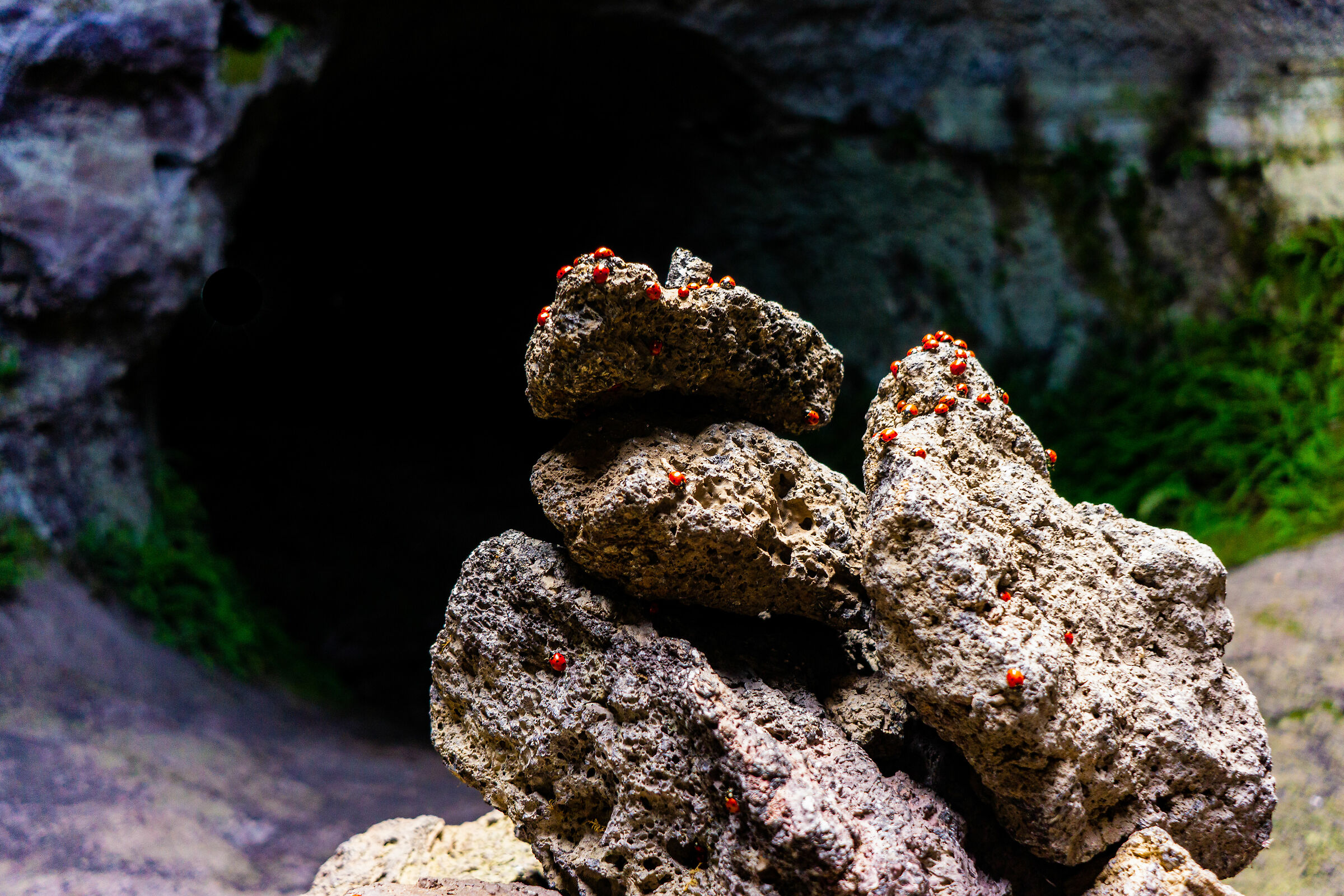La grotta delle coccinelle - Grotta dei Lamponi, Etna
