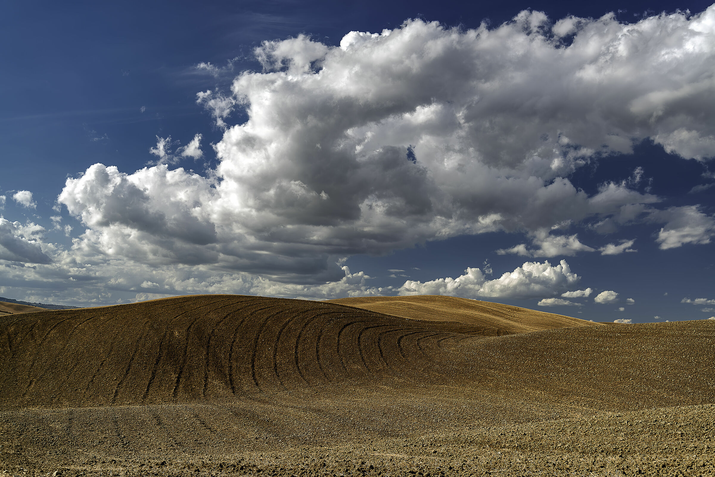 tipico paesaggio val d'orcia (si) n.2