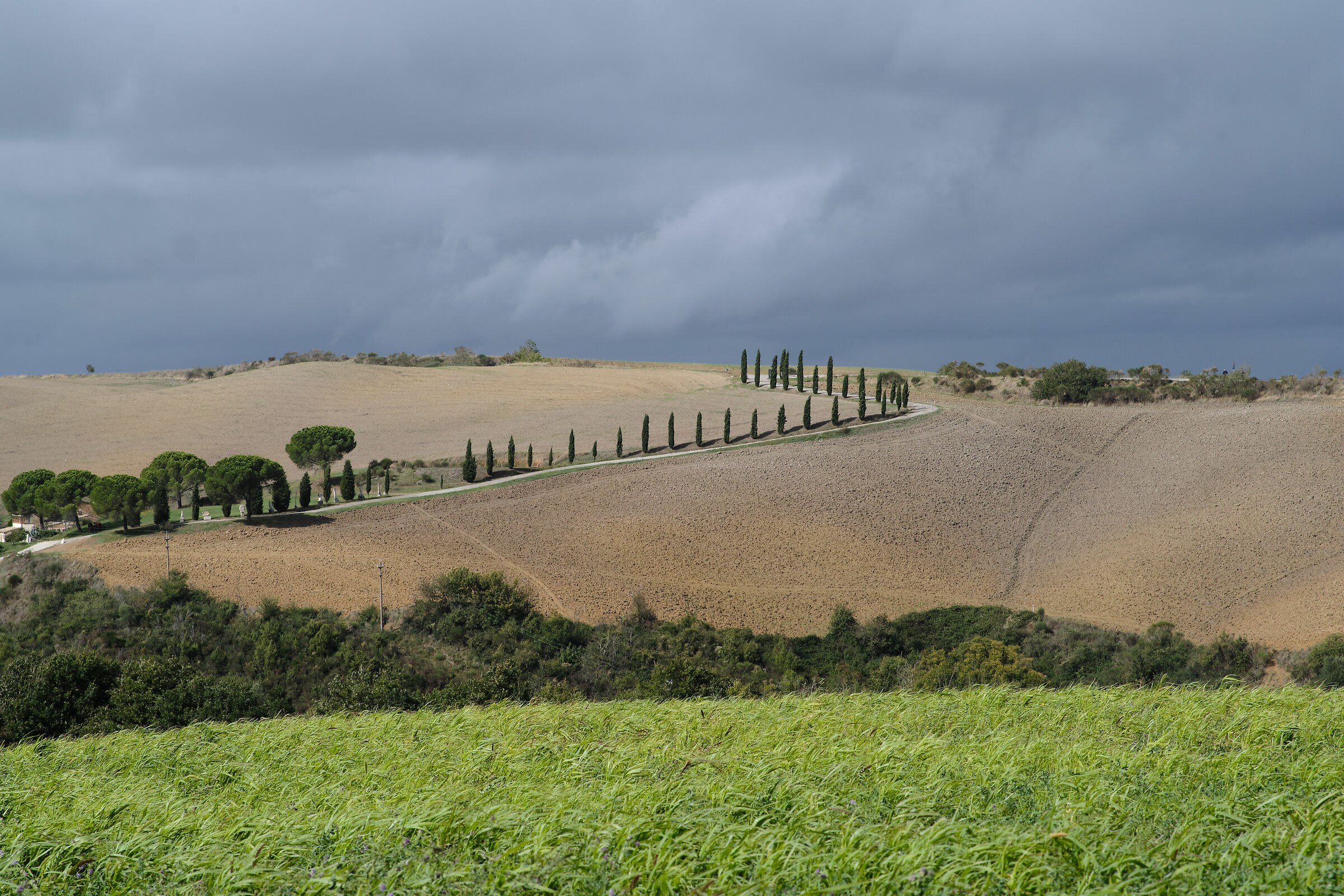 Vicino a San Quirico d'Orcia