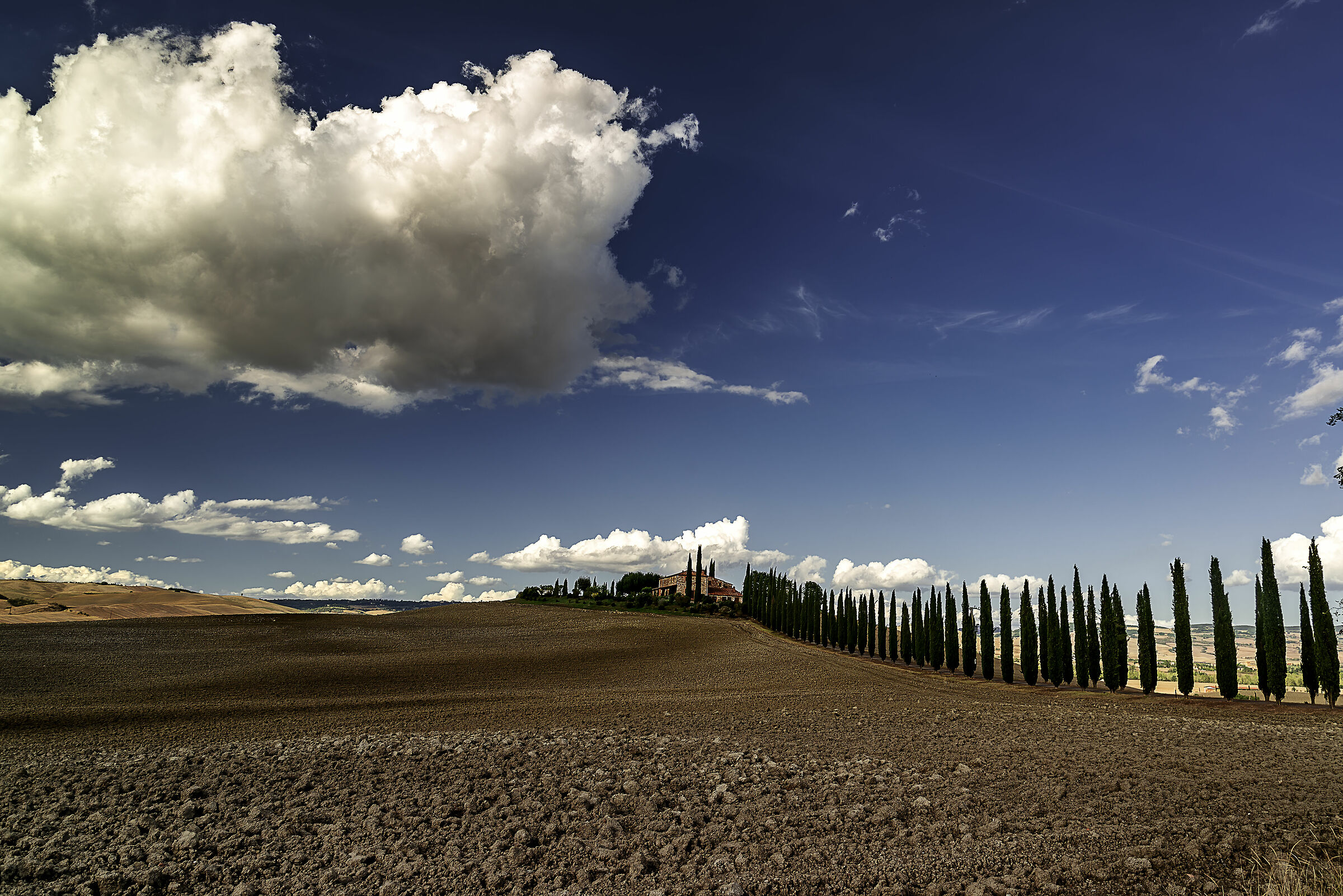 tipico paesaggio val d'orcia (si) n.3
