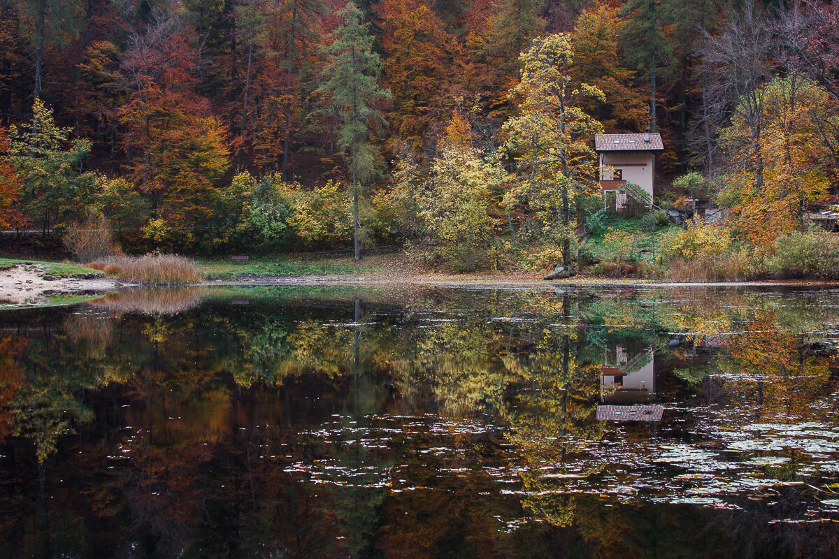 Riflessioni di un autunno passato ...