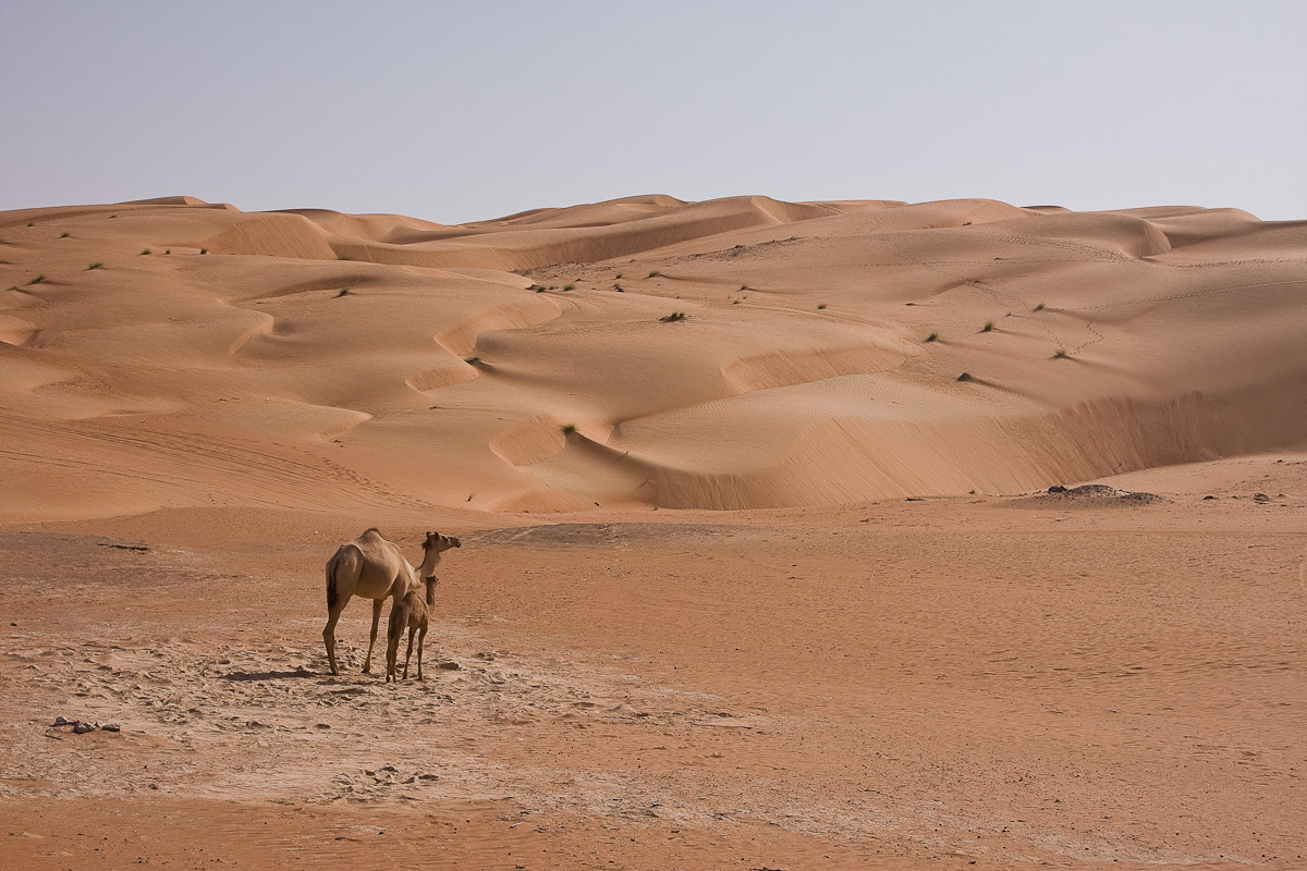 Wahiba desert - Oman