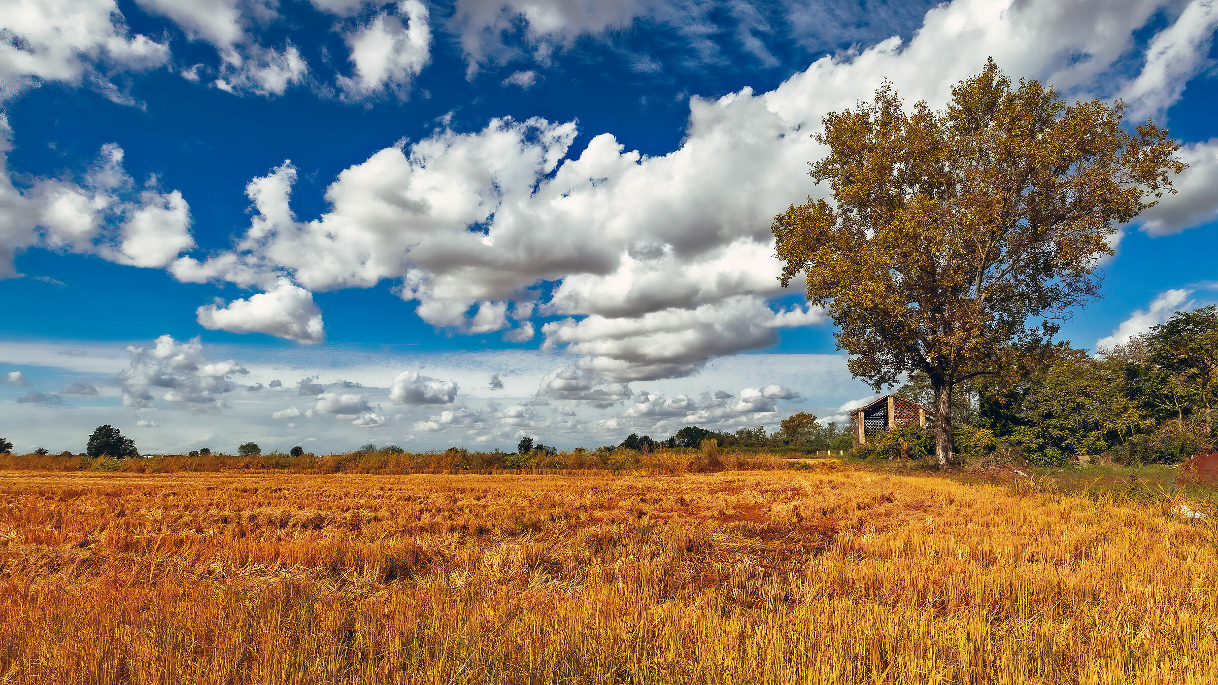 È la pioggia che va, e ritorna il sereno