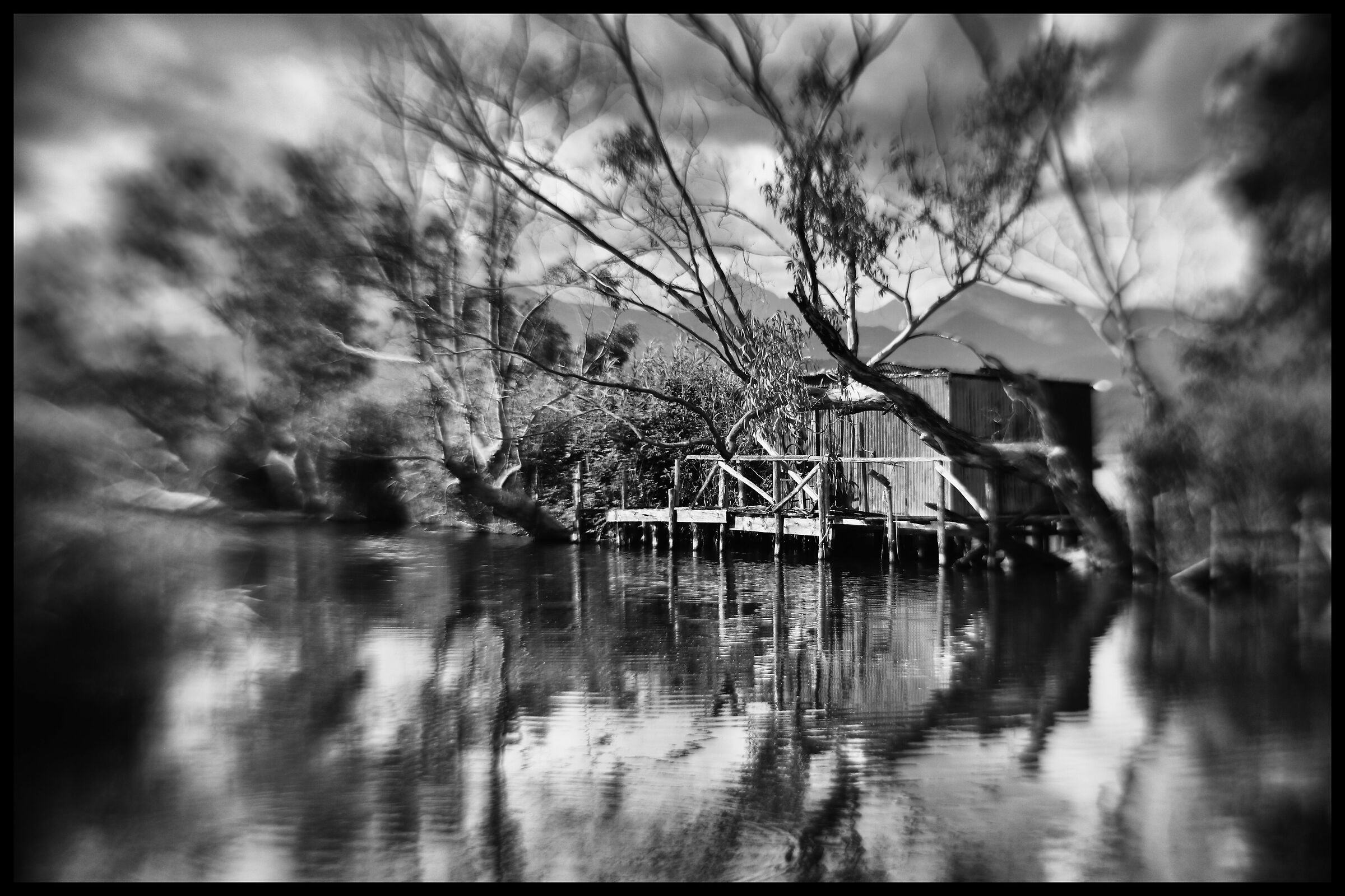Bayou Toscano