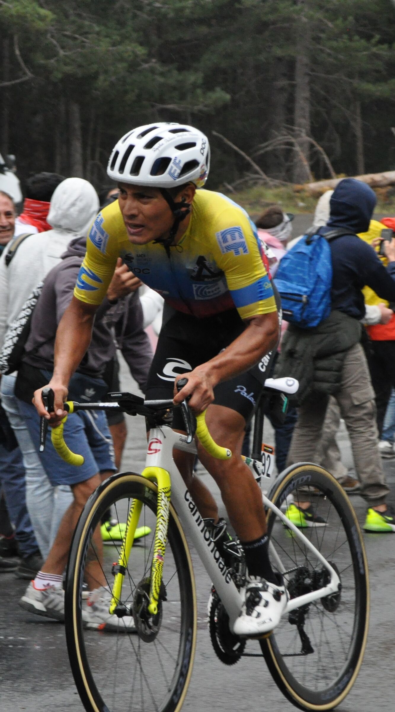 ETNA (LINGUAGLOSSA PIANO PROVENZANA)