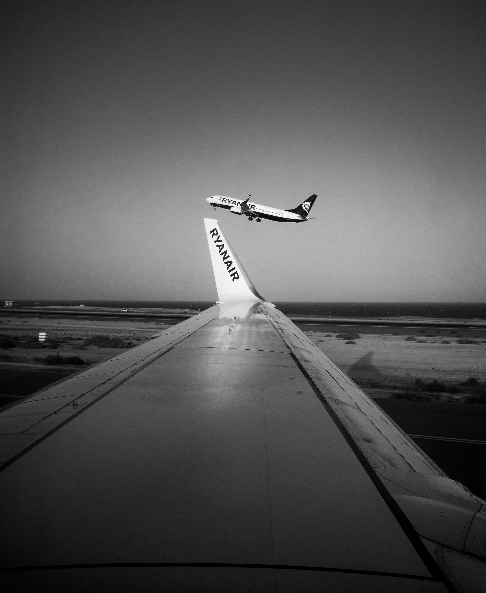 Volando voy...volando vengo