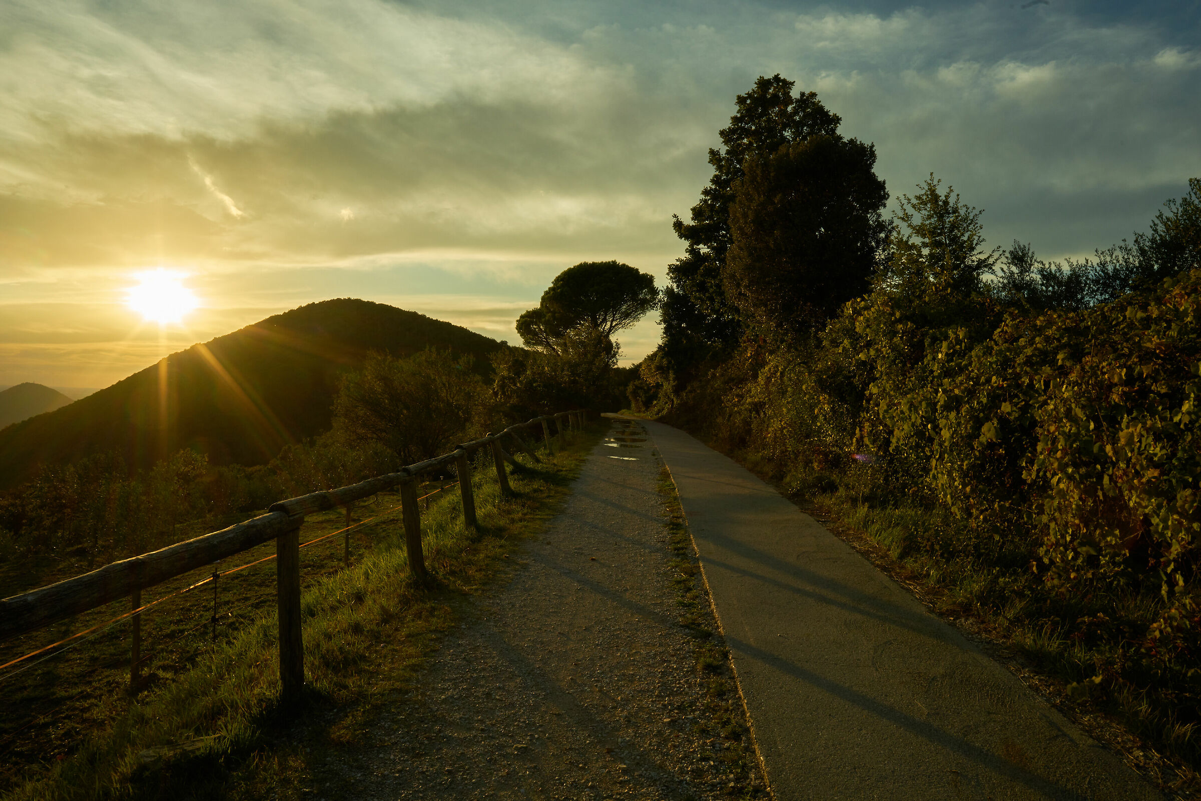 Quel che resta del giorno