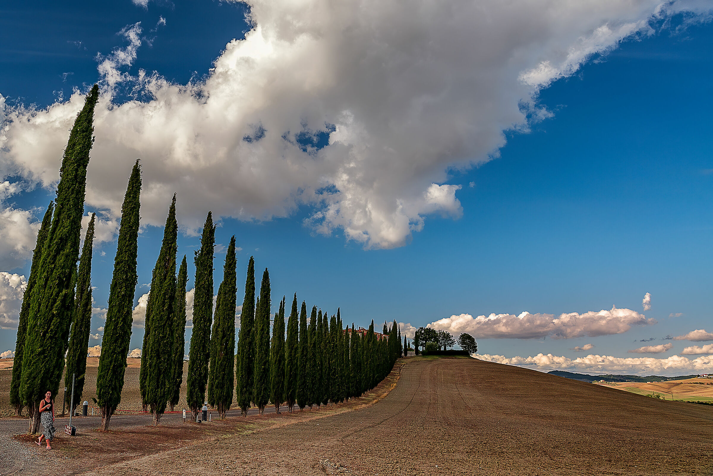 tipico paesaggio val d'orcia (si) n.4