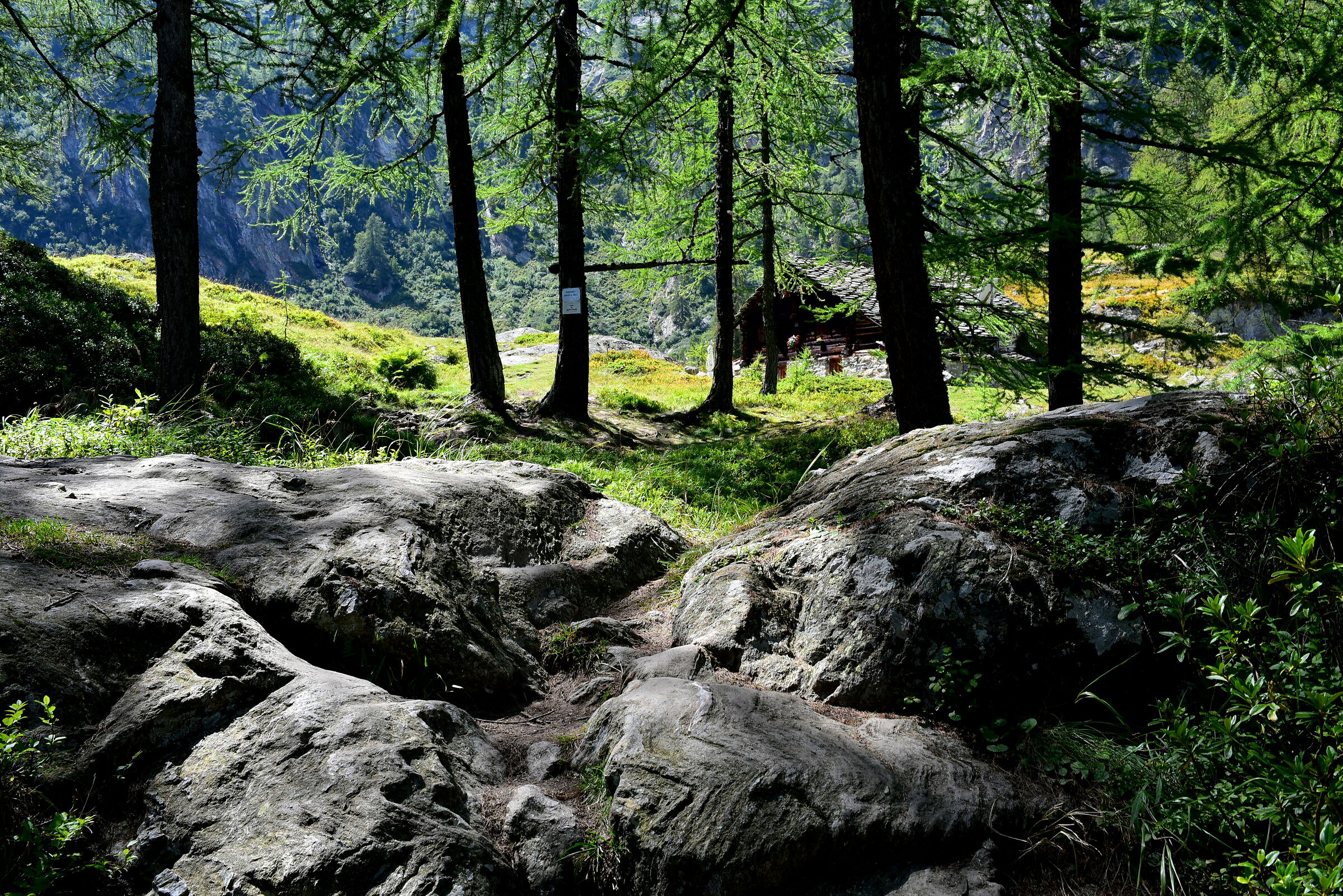 Alpe Larecchio 1904m, Alagna Valsesia, Monte Rosa