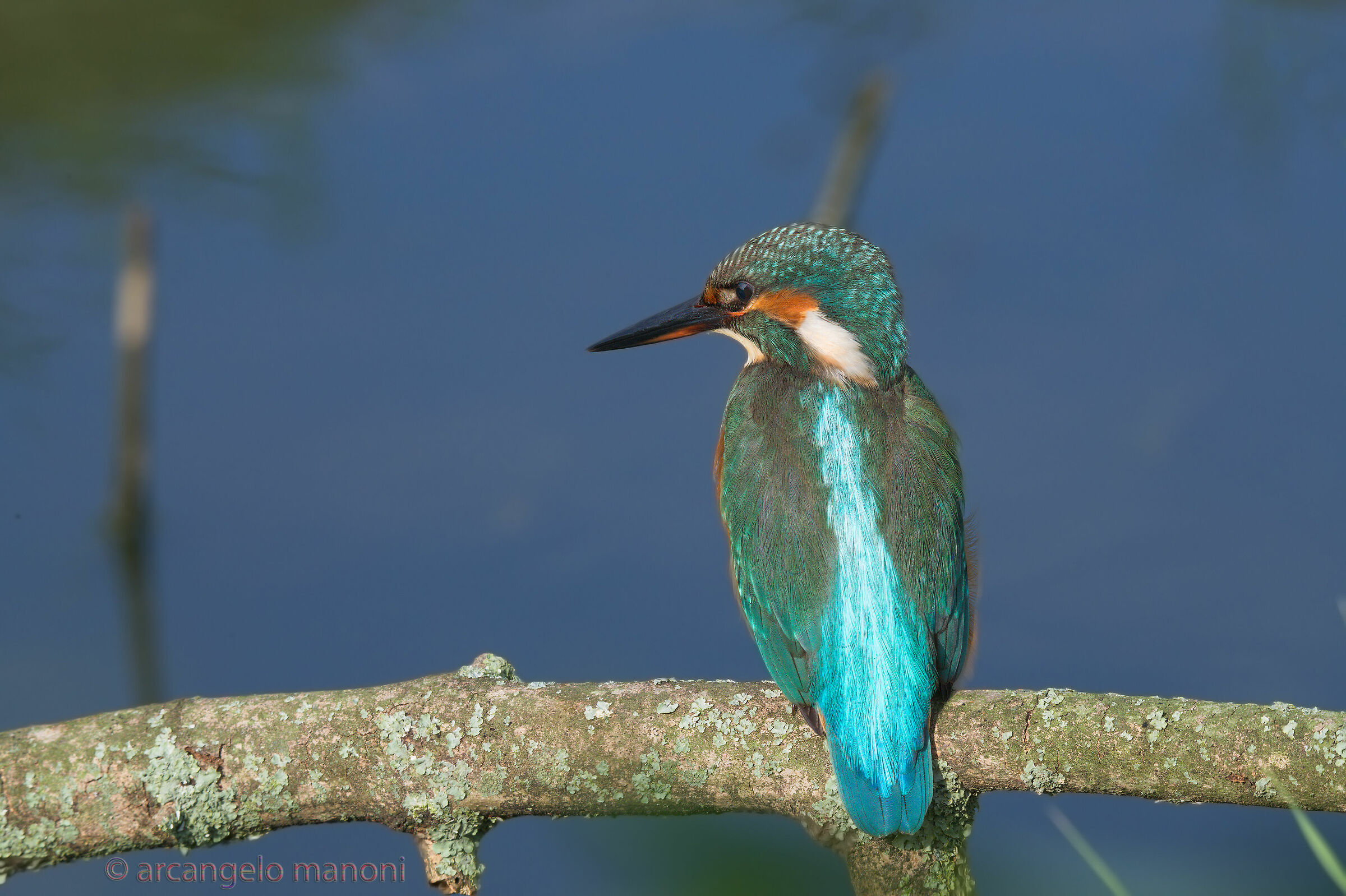 Waiting for the plunge