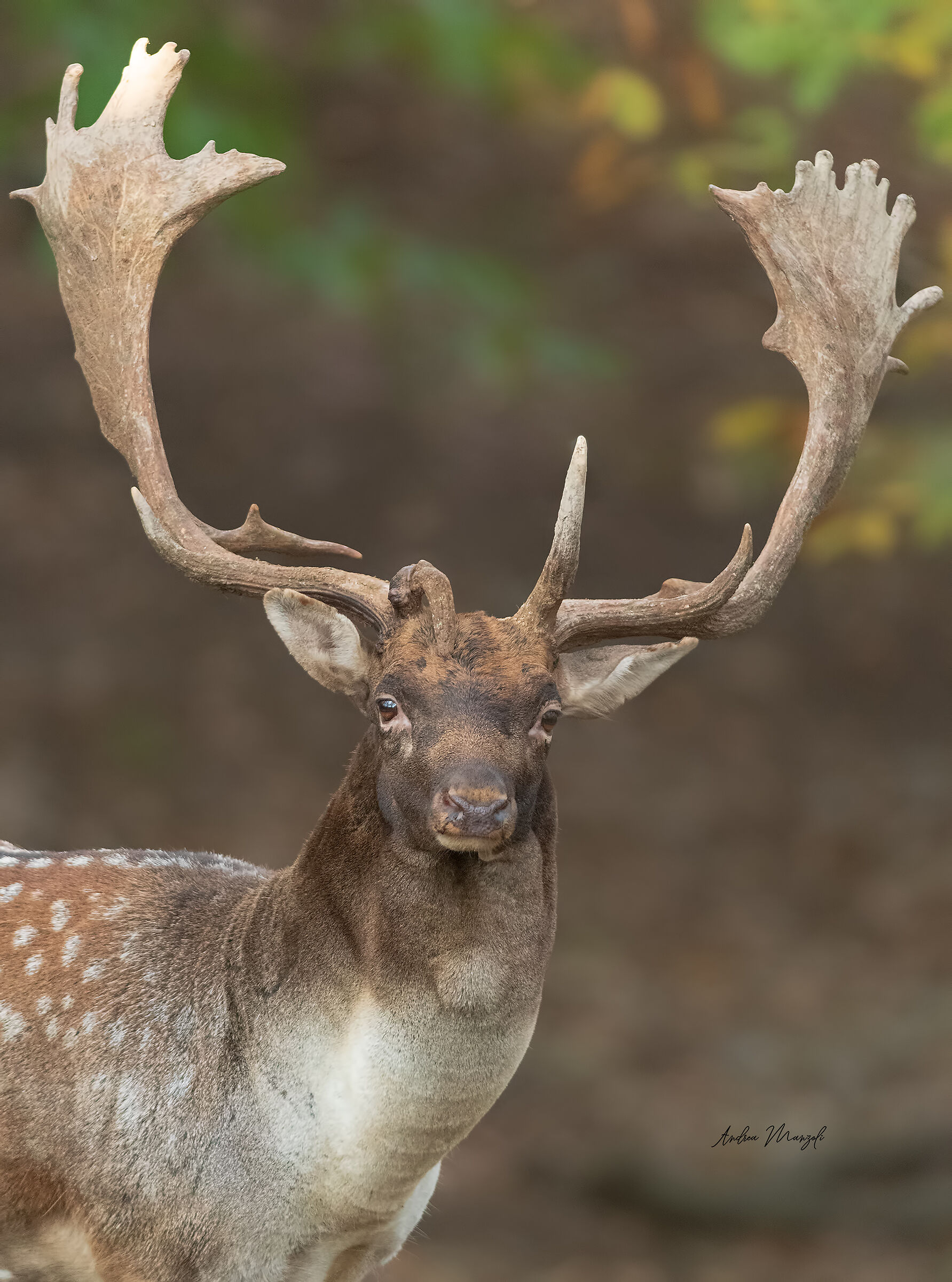 Mi fai cadere le corna !!