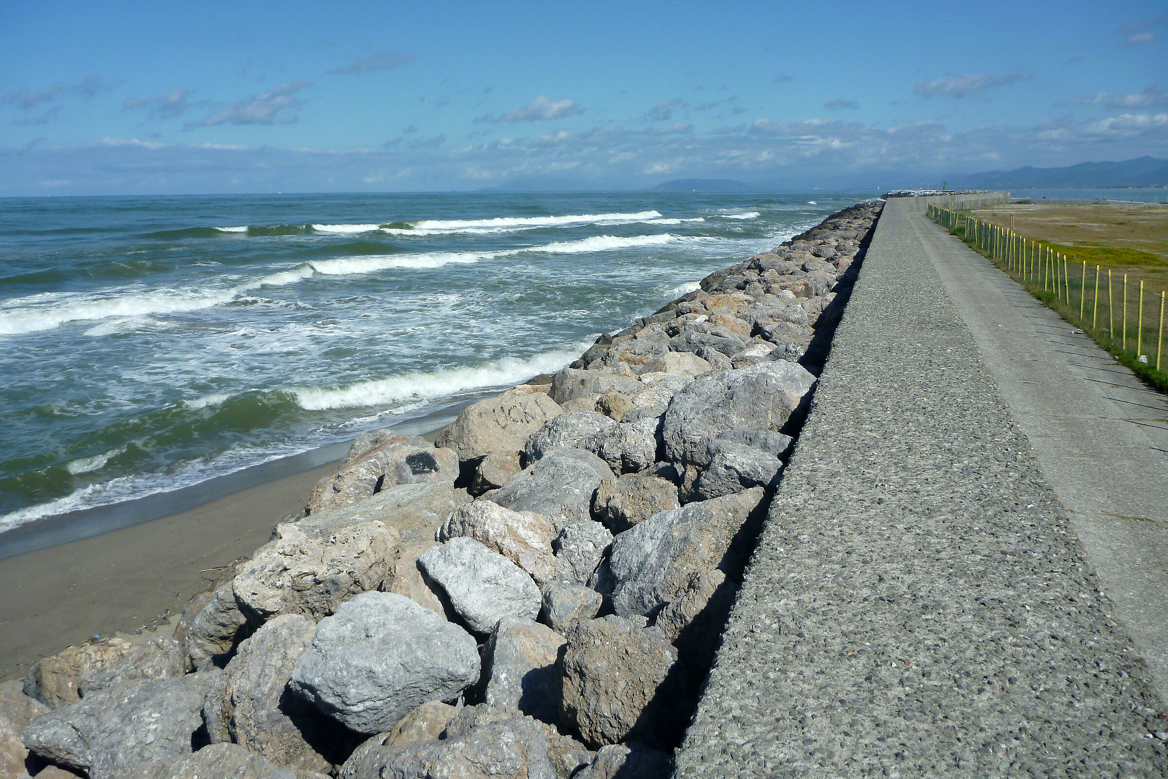 landscape with disturbance