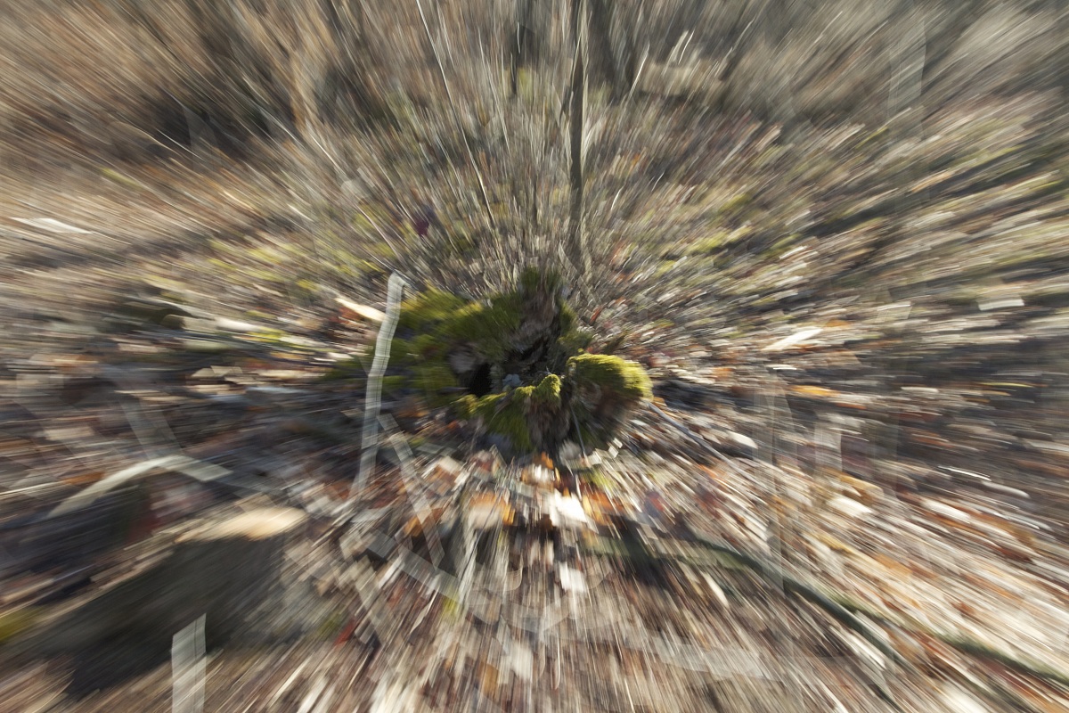 esperimento ipnotico