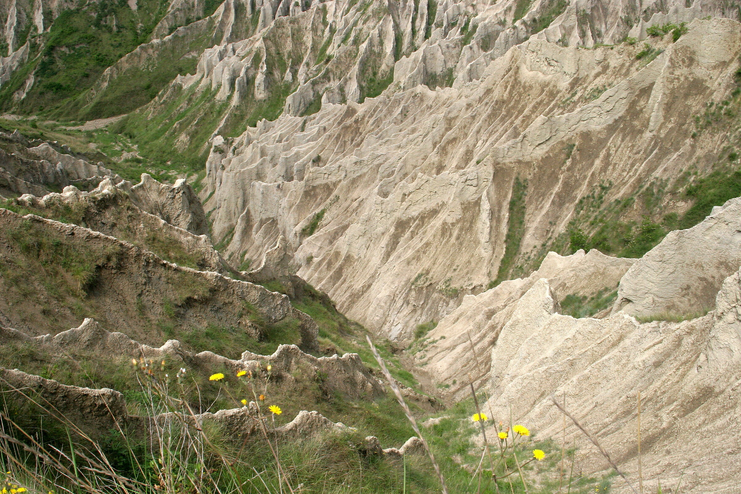 7905 - Calanchi Atri