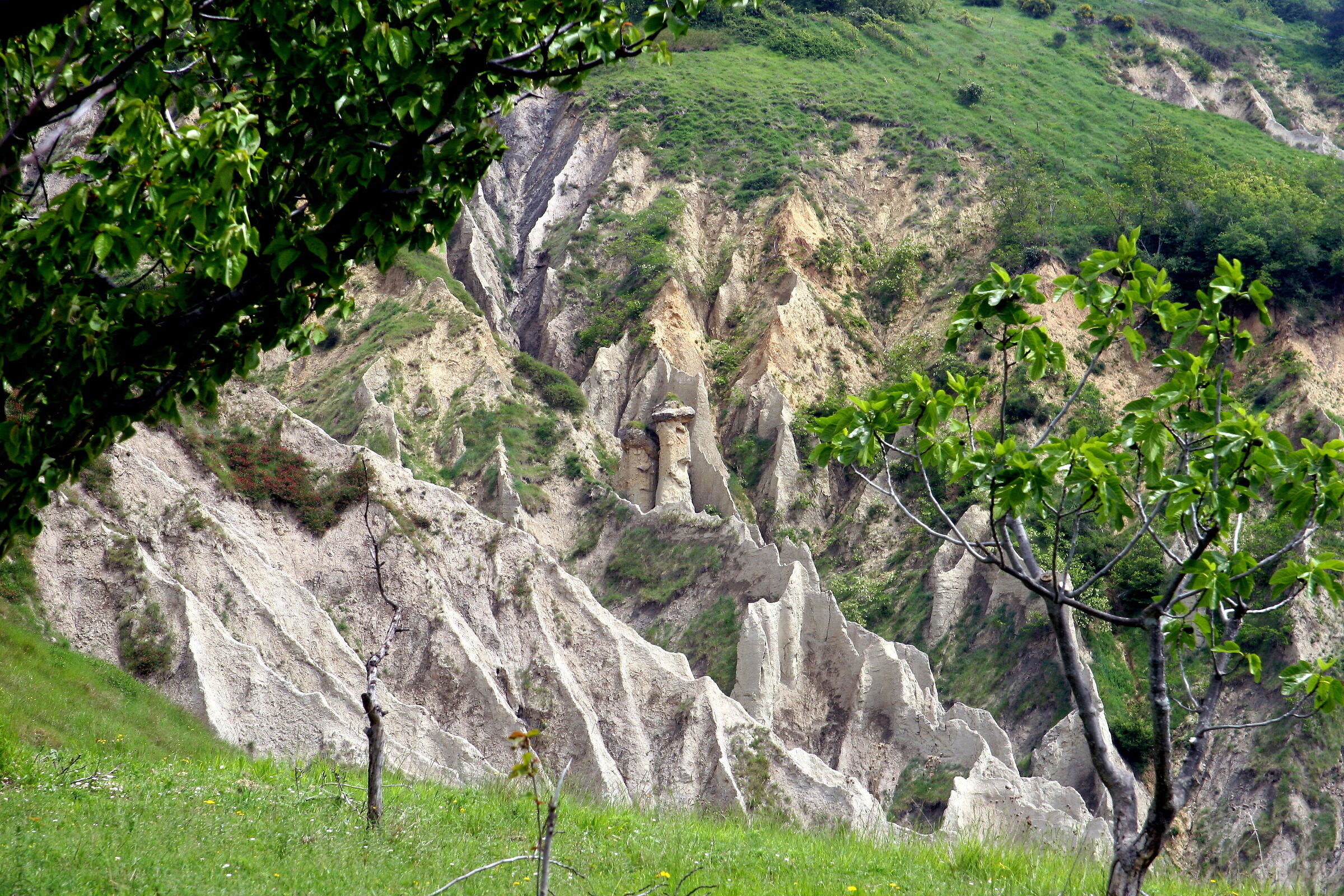 7945 - Calanchi Atri