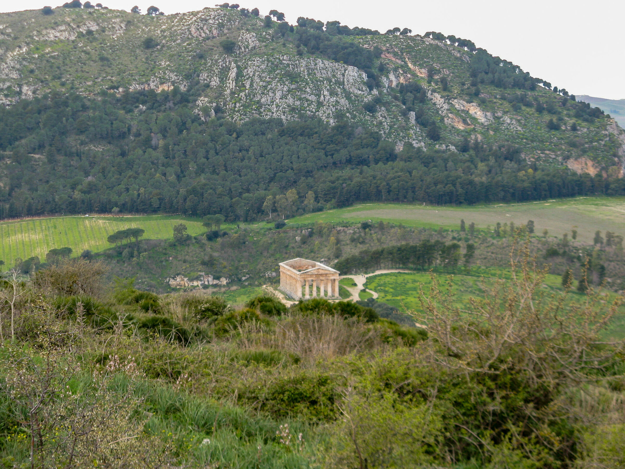 Segesta