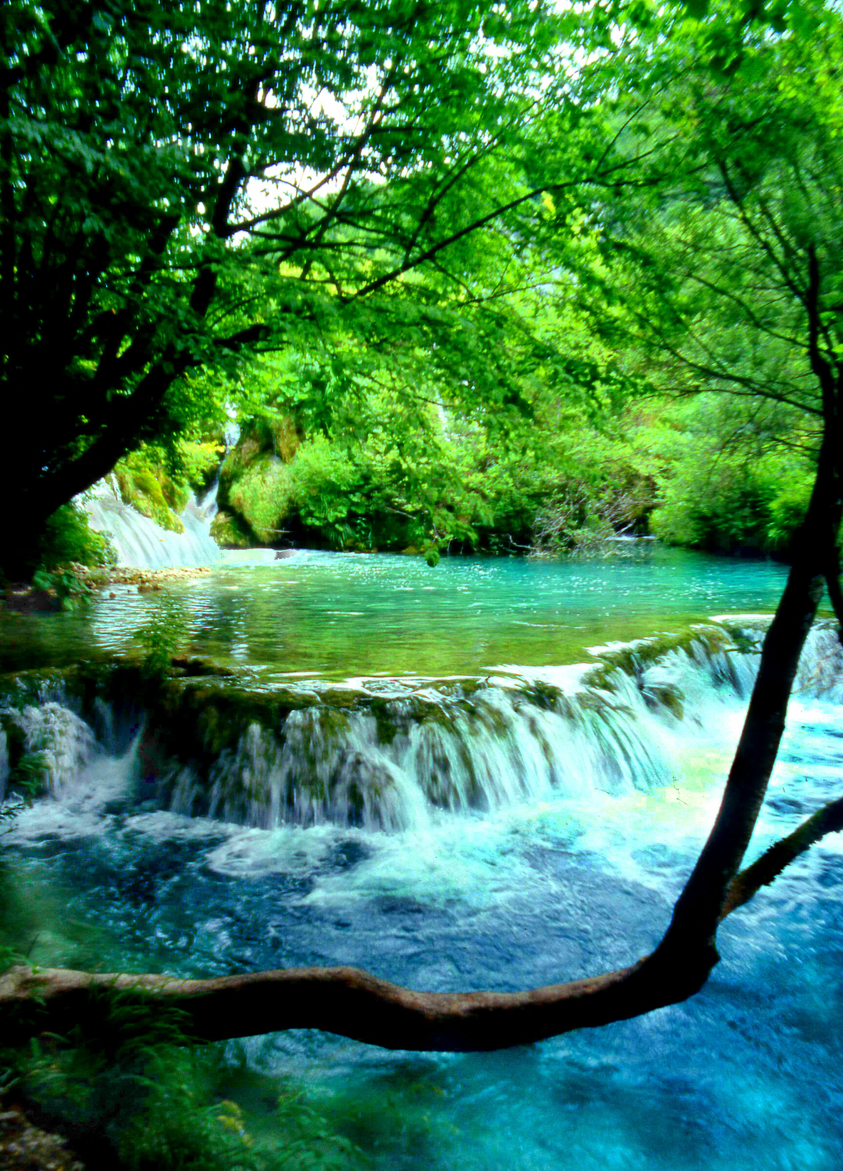 cascades in the green