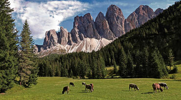 Destinazione
