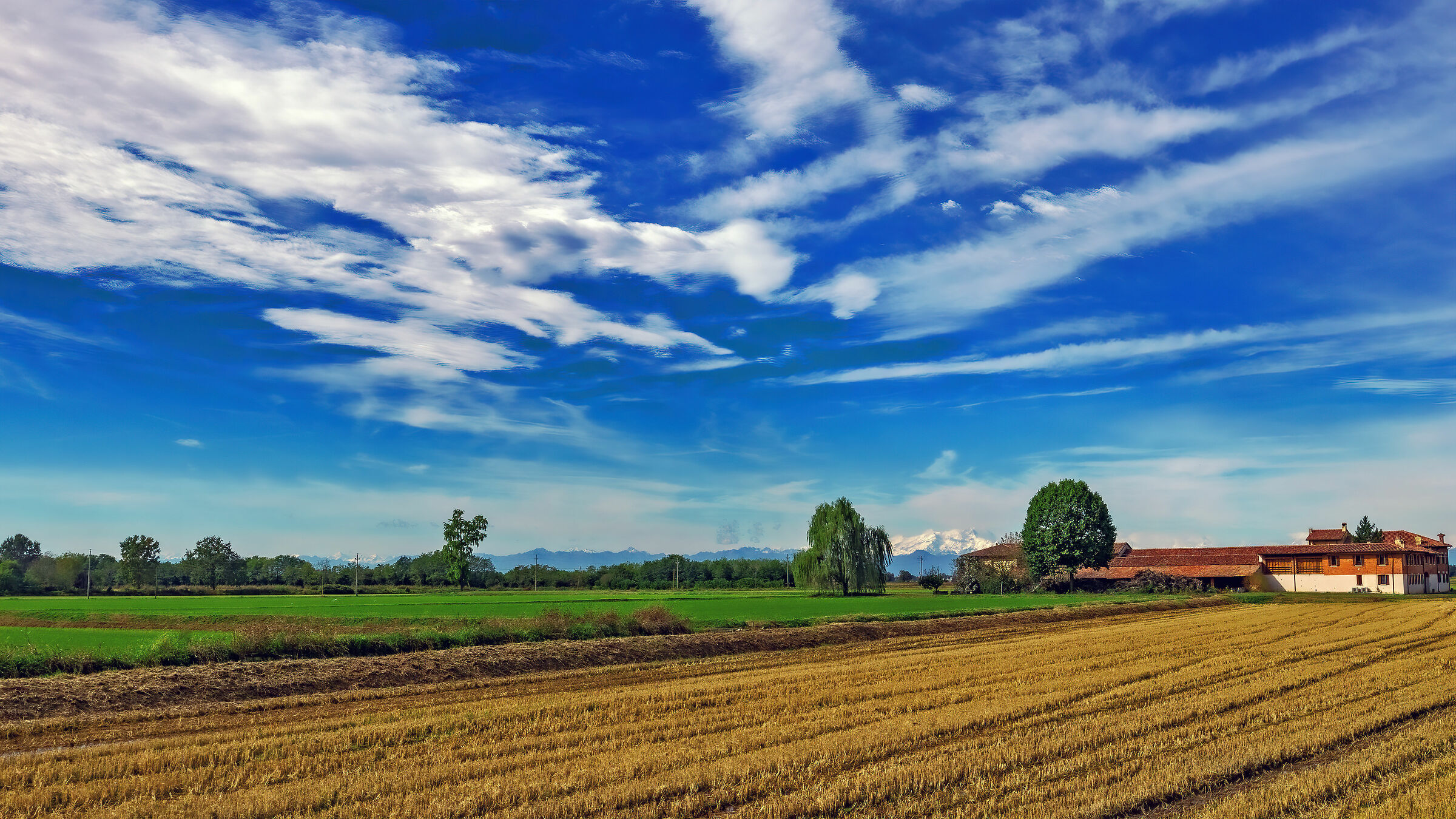 White, red and green