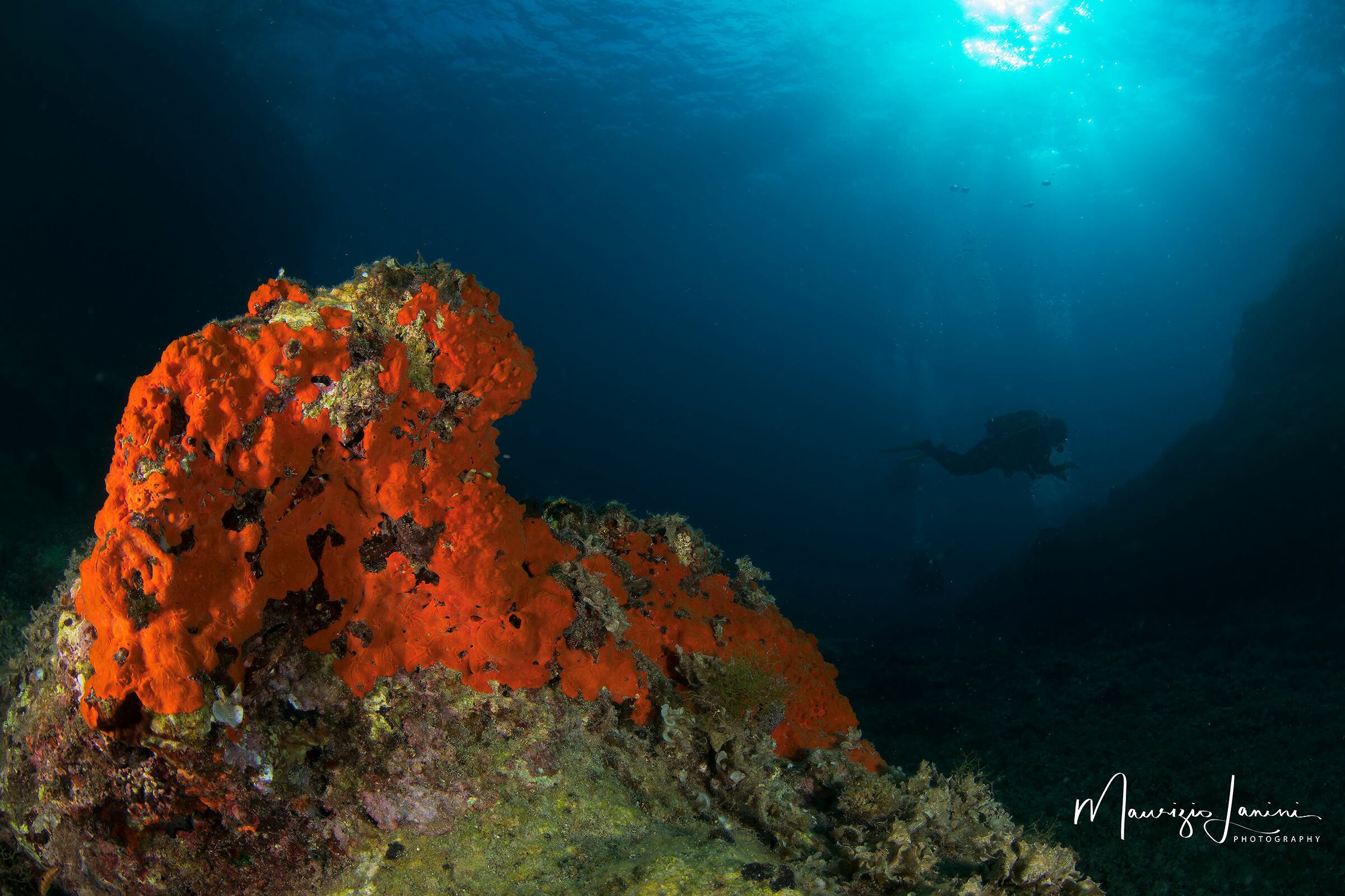 I colori del Salento subacqueo