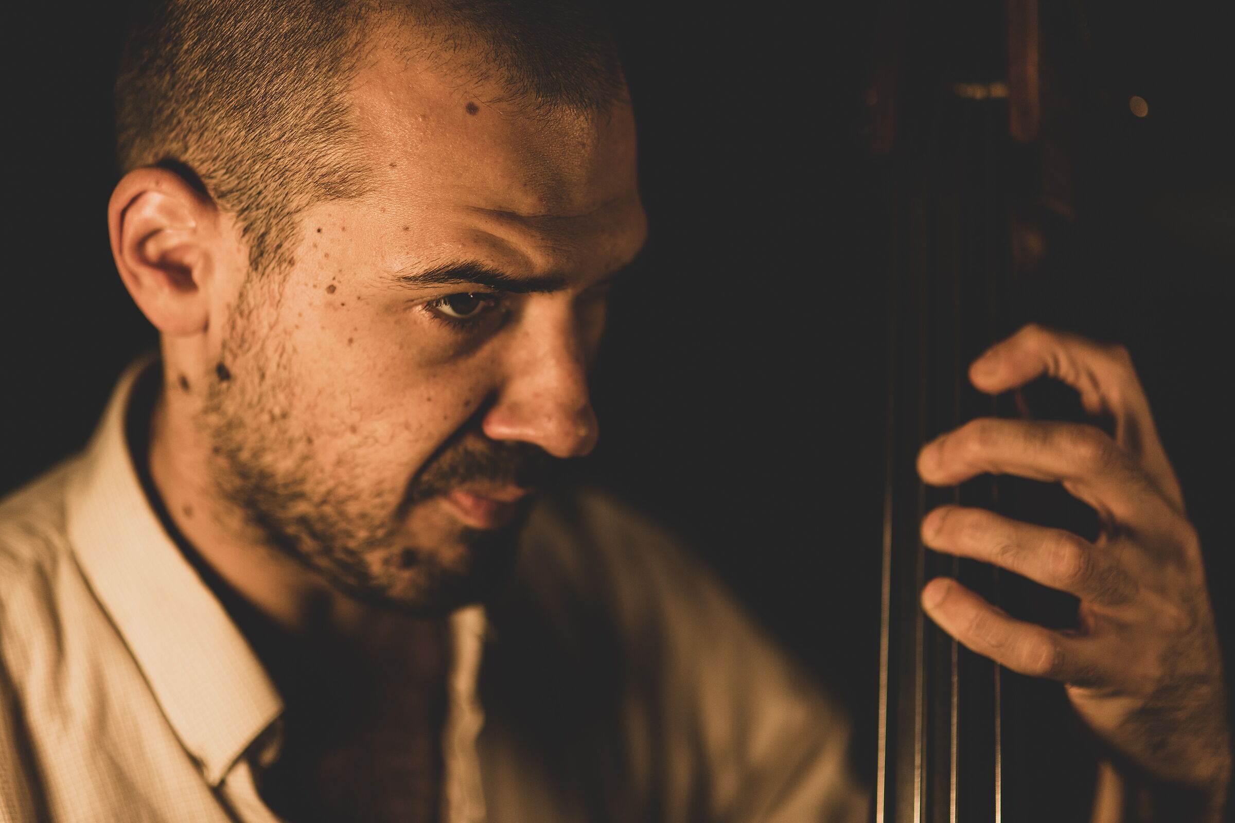 Double bass1