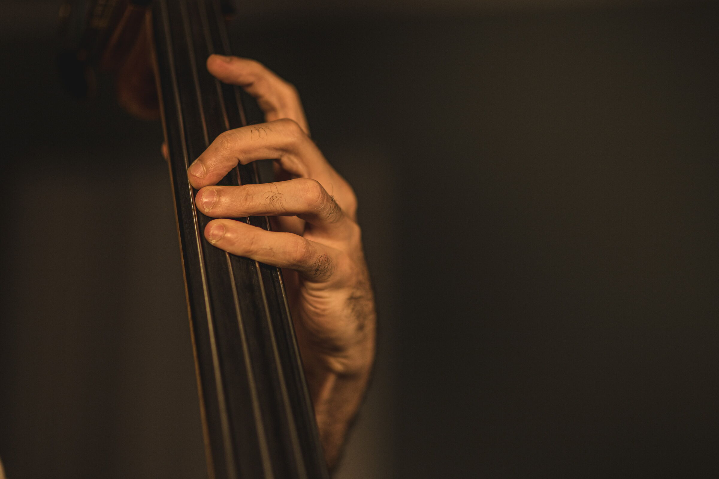 Double bass3