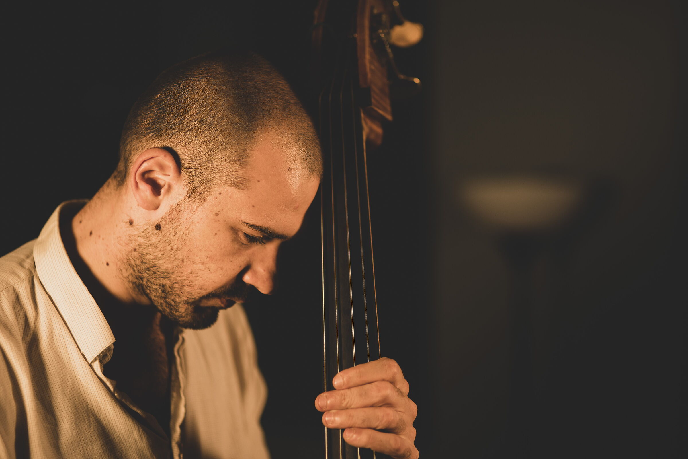 Double bass4