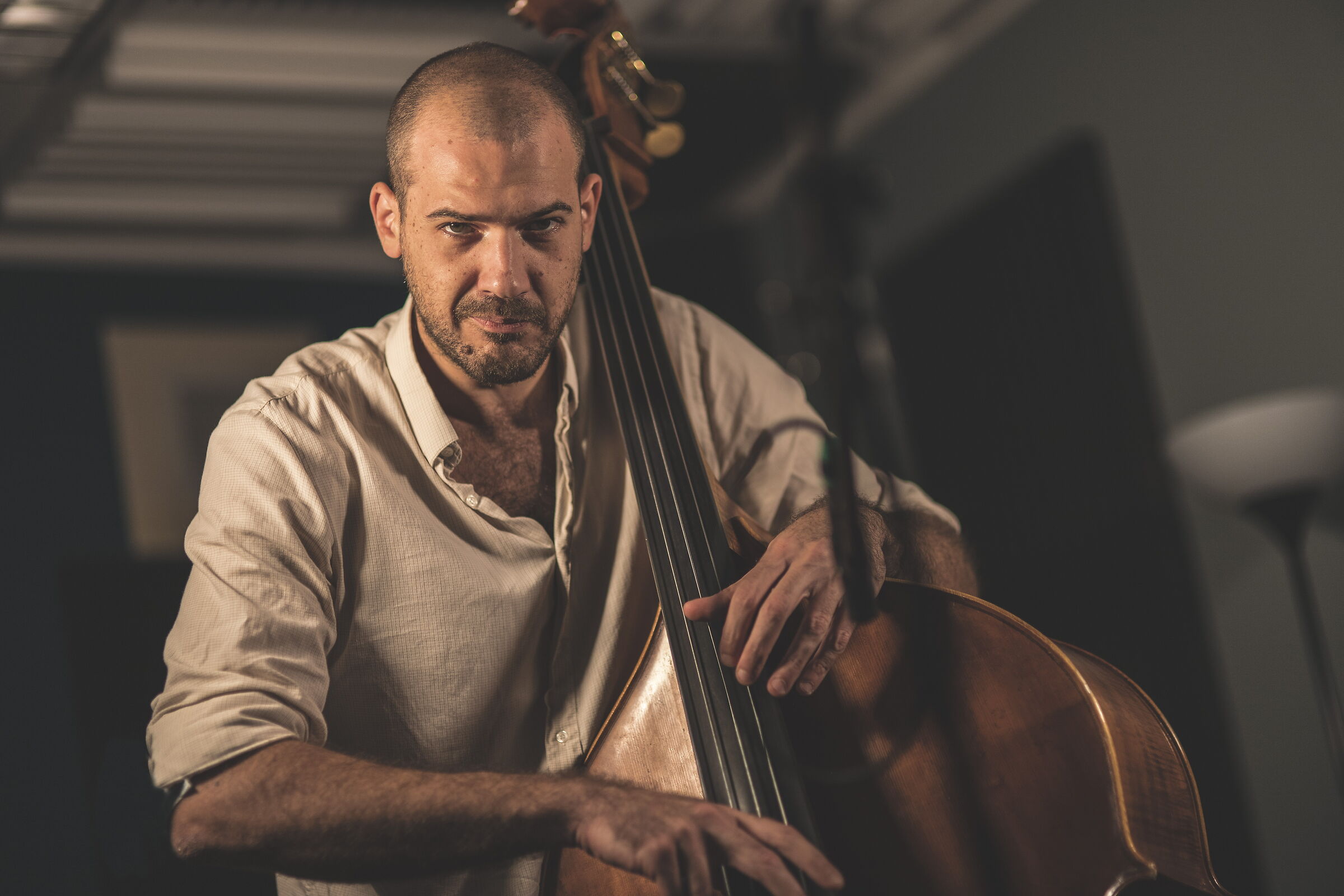 Double bass5
