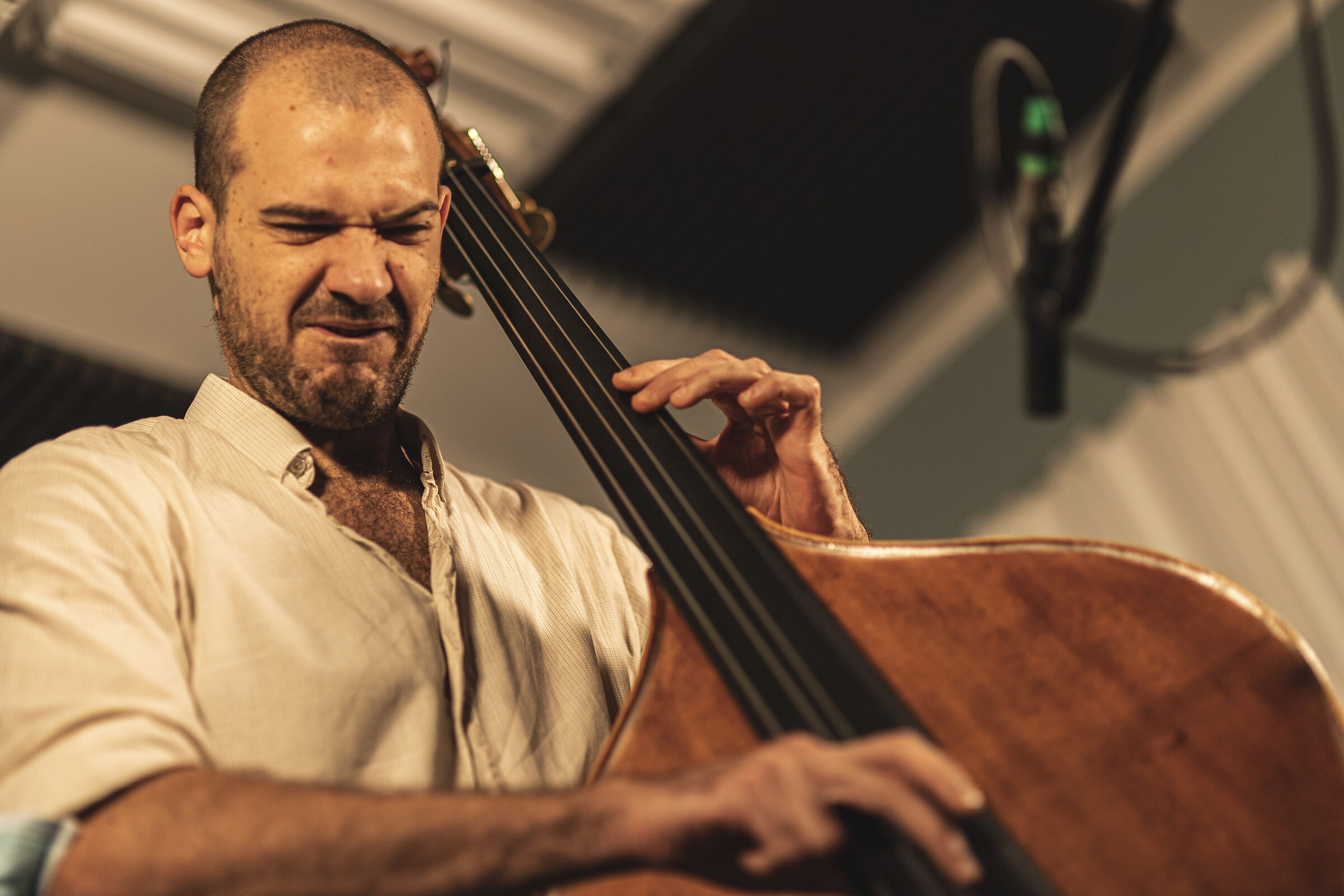 Double bass6
