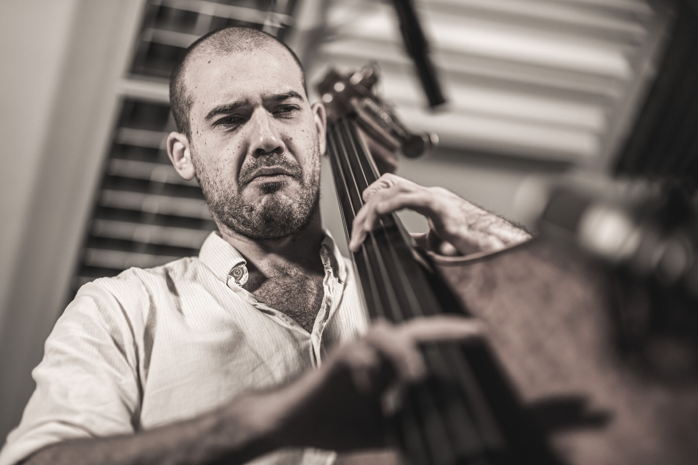 Double bass7