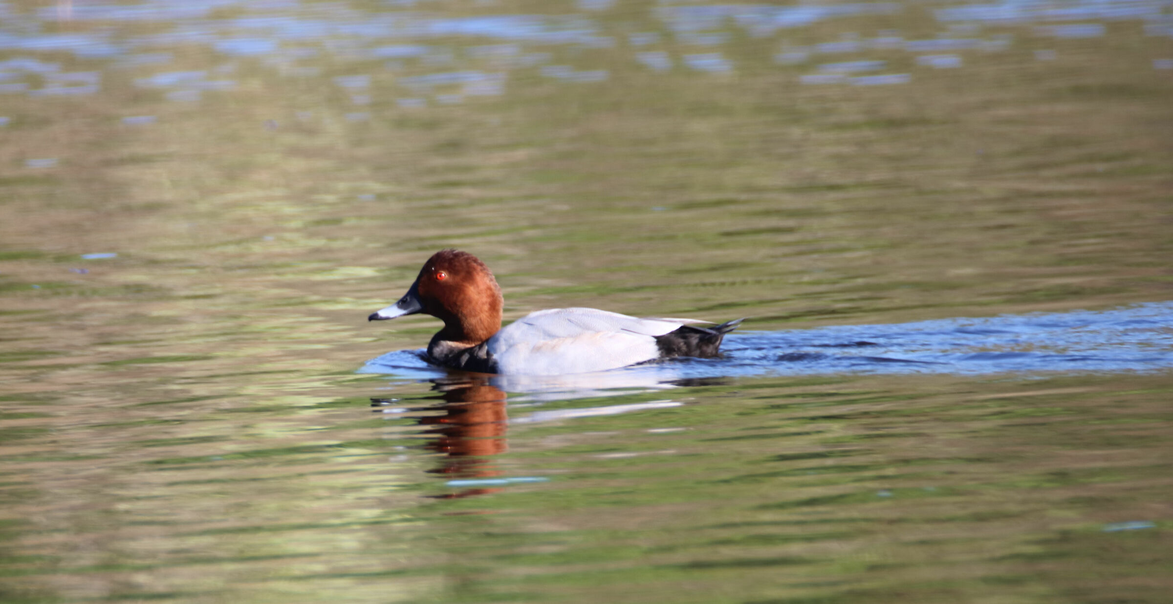 Moriglione Bocca di Serchio