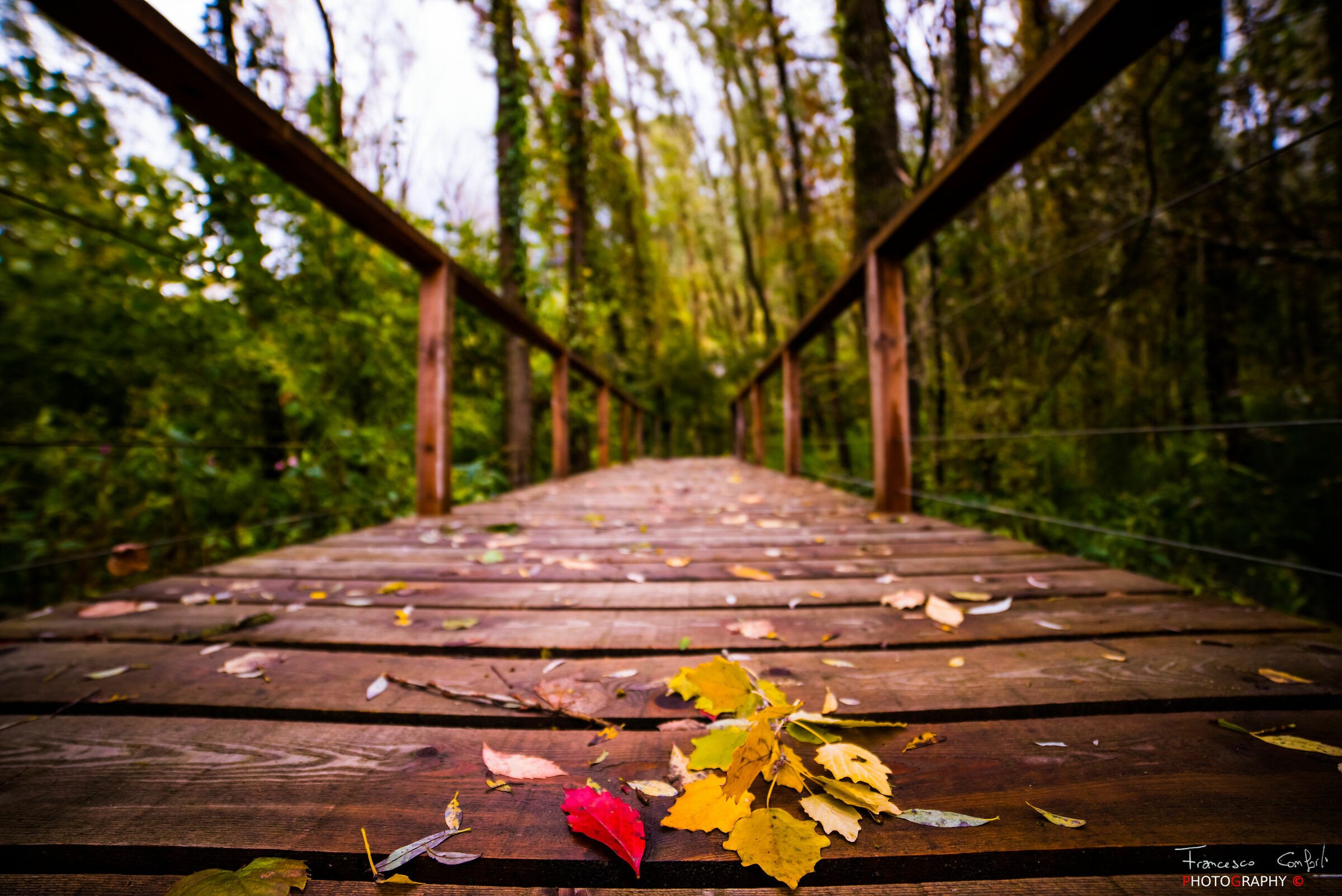 Principio di autunno...