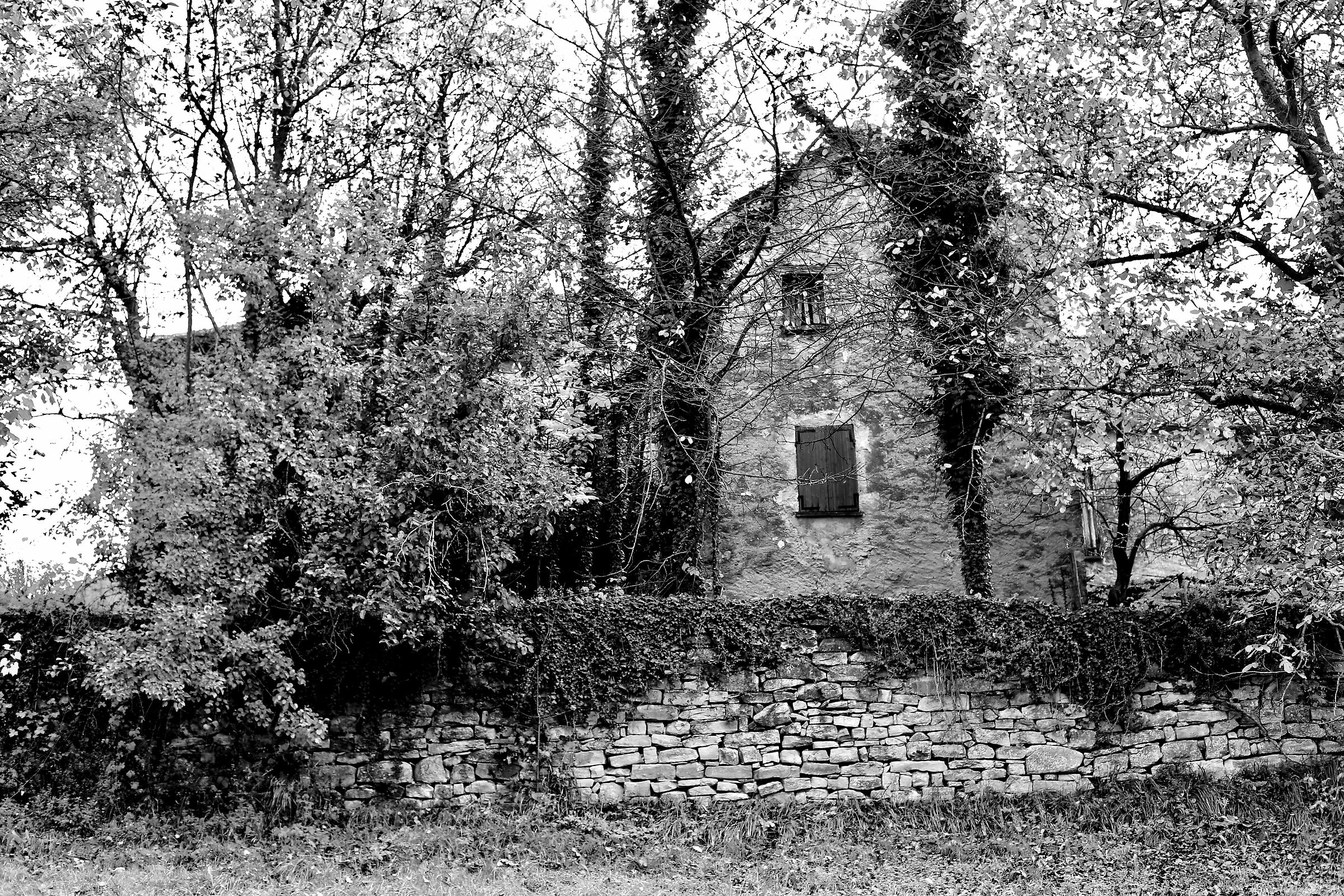 Casolare a Cortemilia