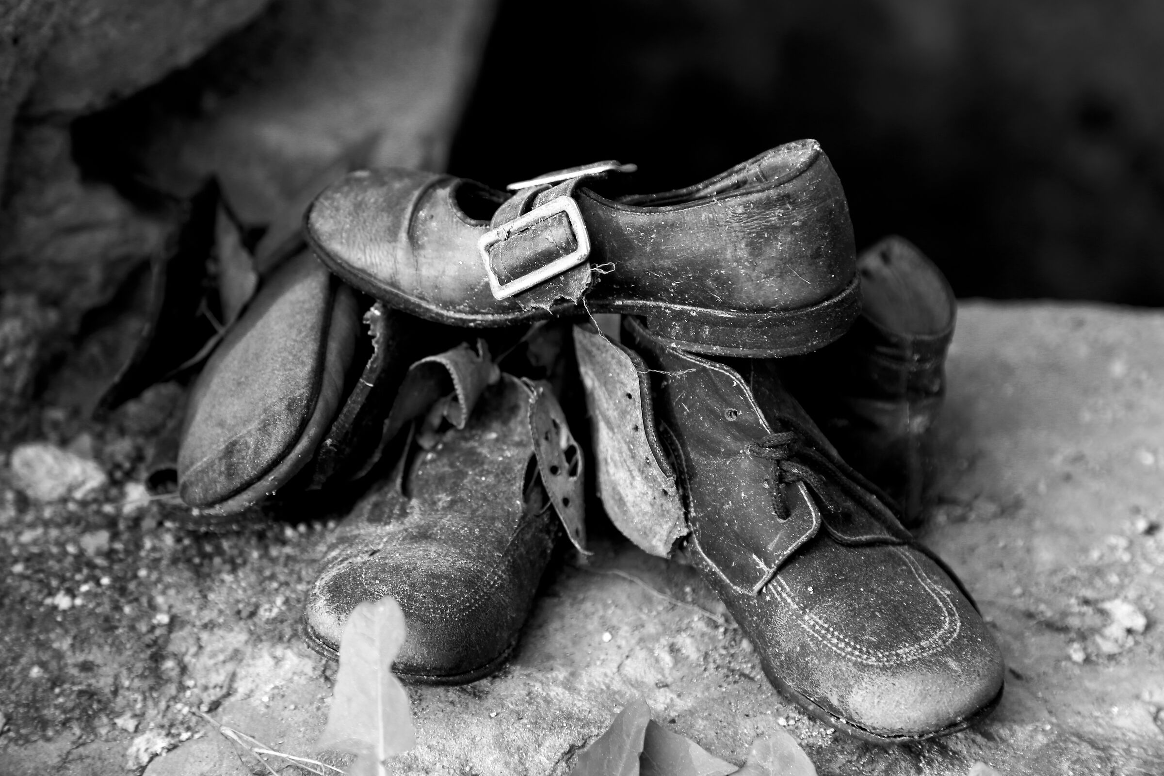 Le scarpe della domenica