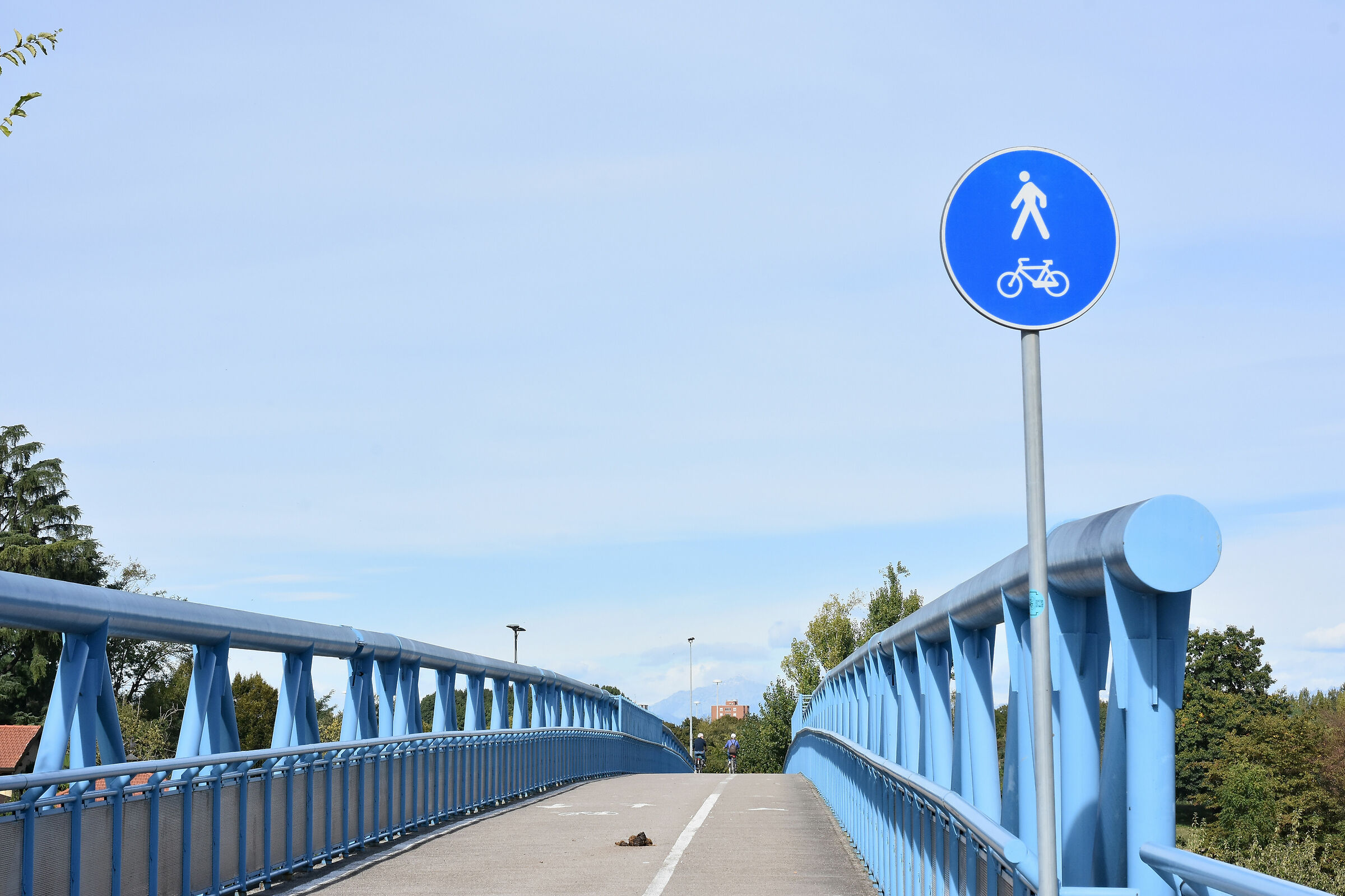 Corsie dedicate...a quadrupedi.