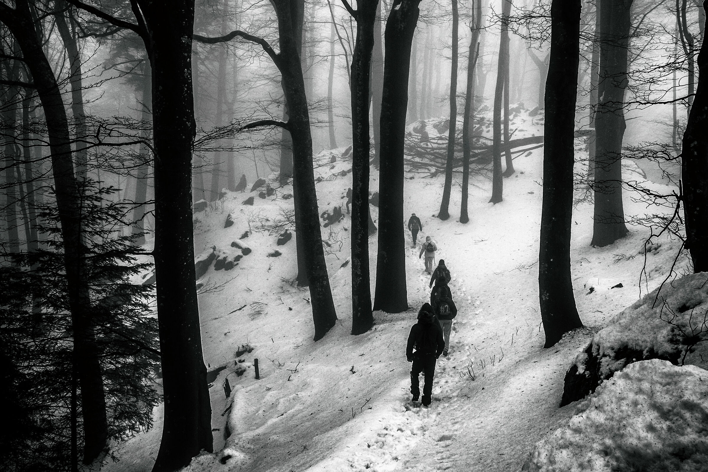 The crossing