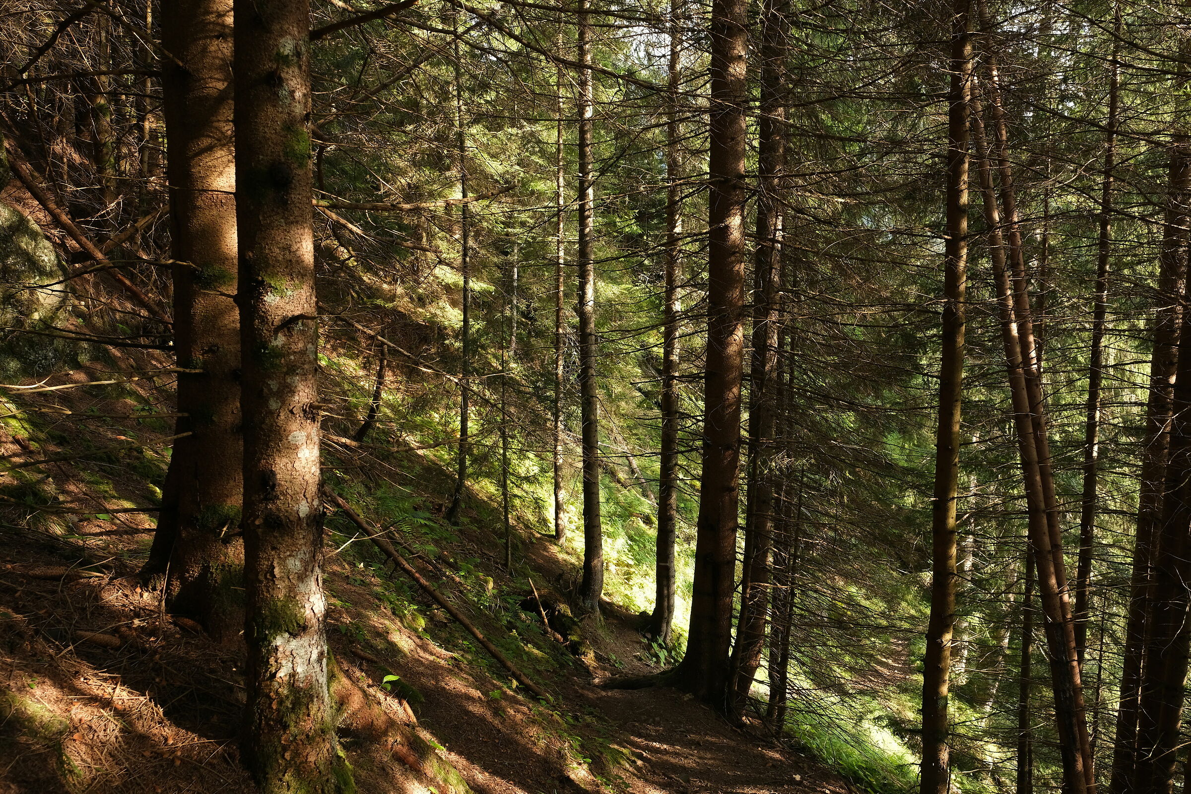 Verso il rifugio Nordio