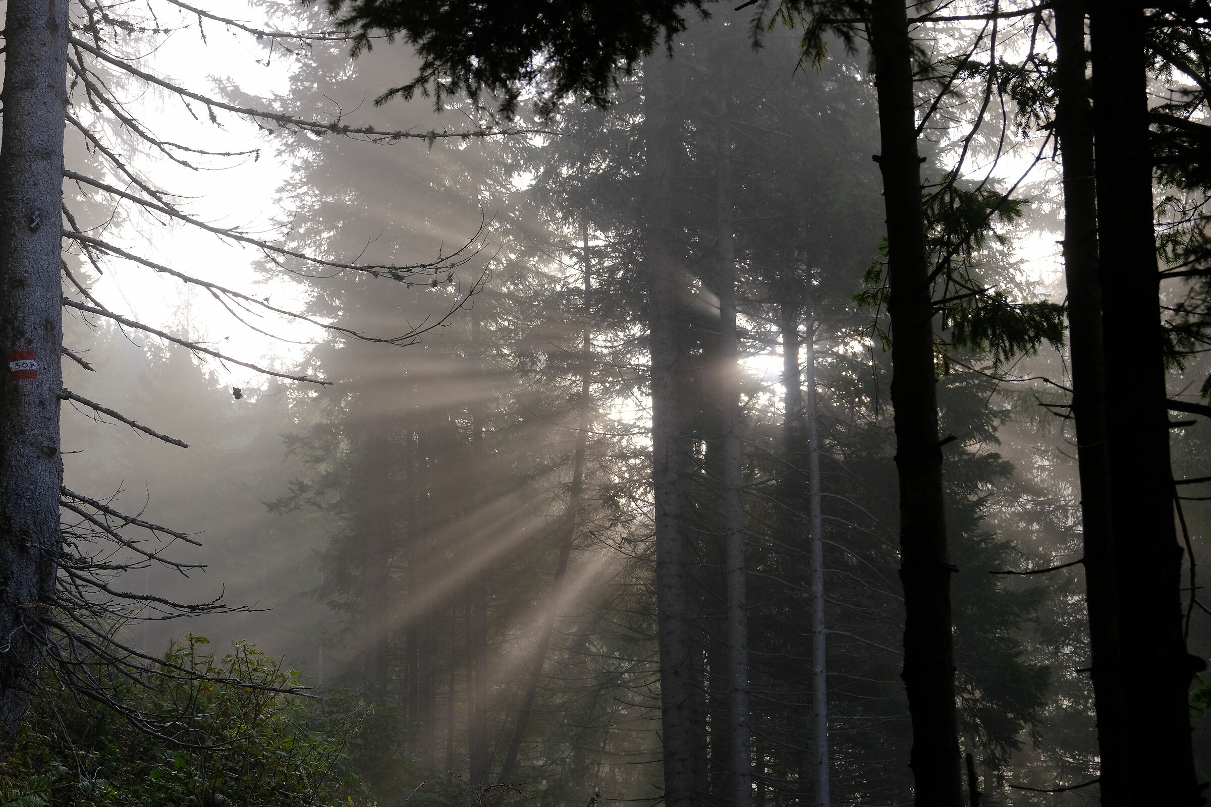 Quando il sole
