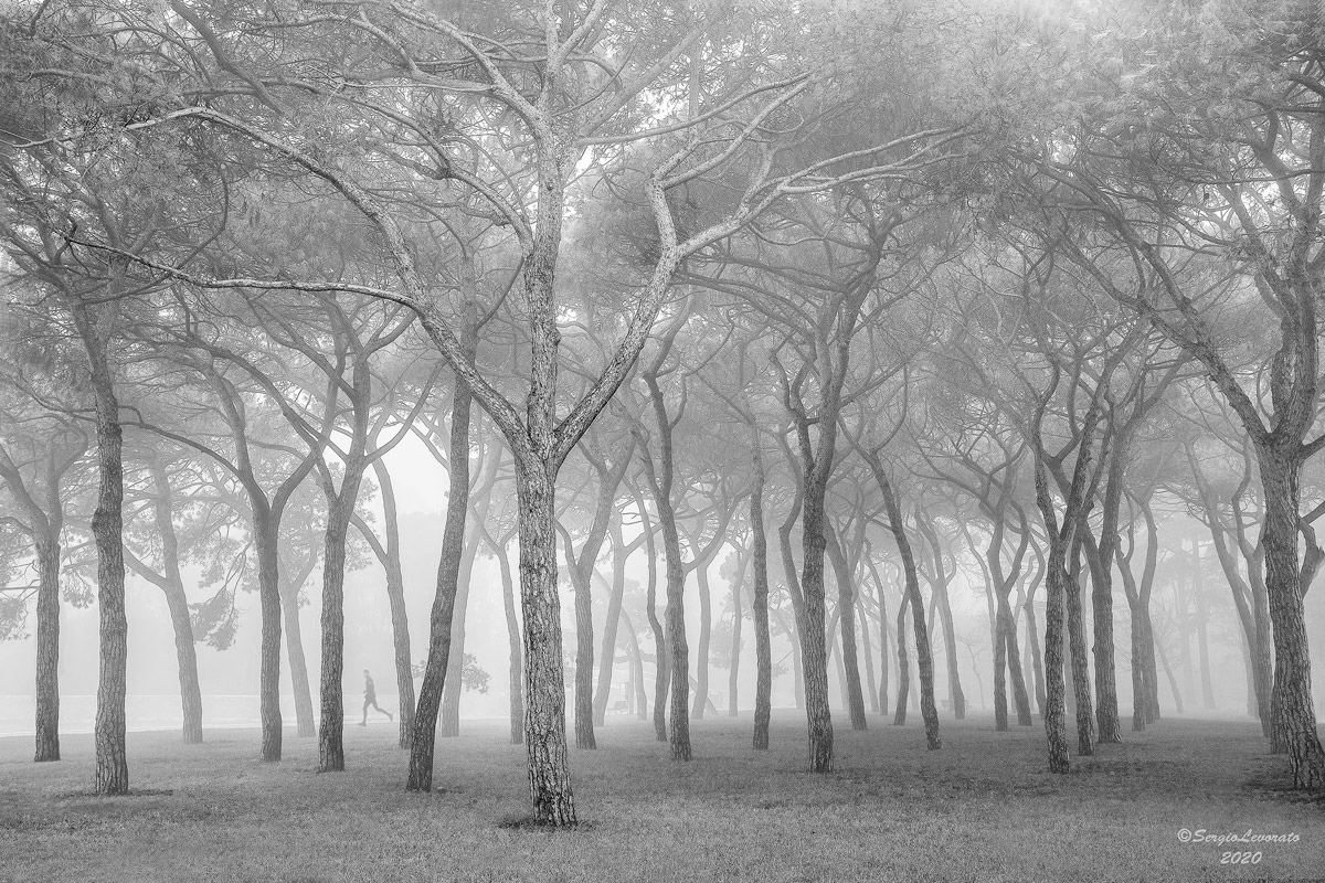 Anche questa è Venezia...