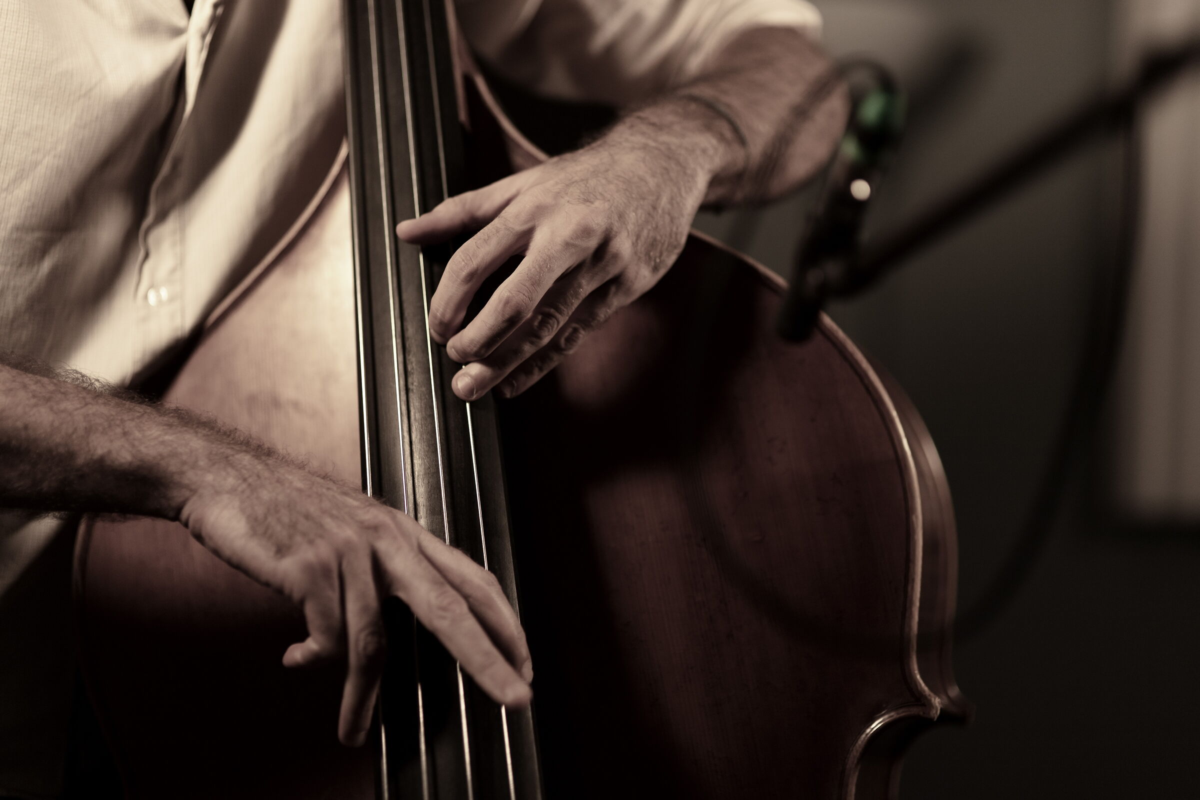 Double bass10