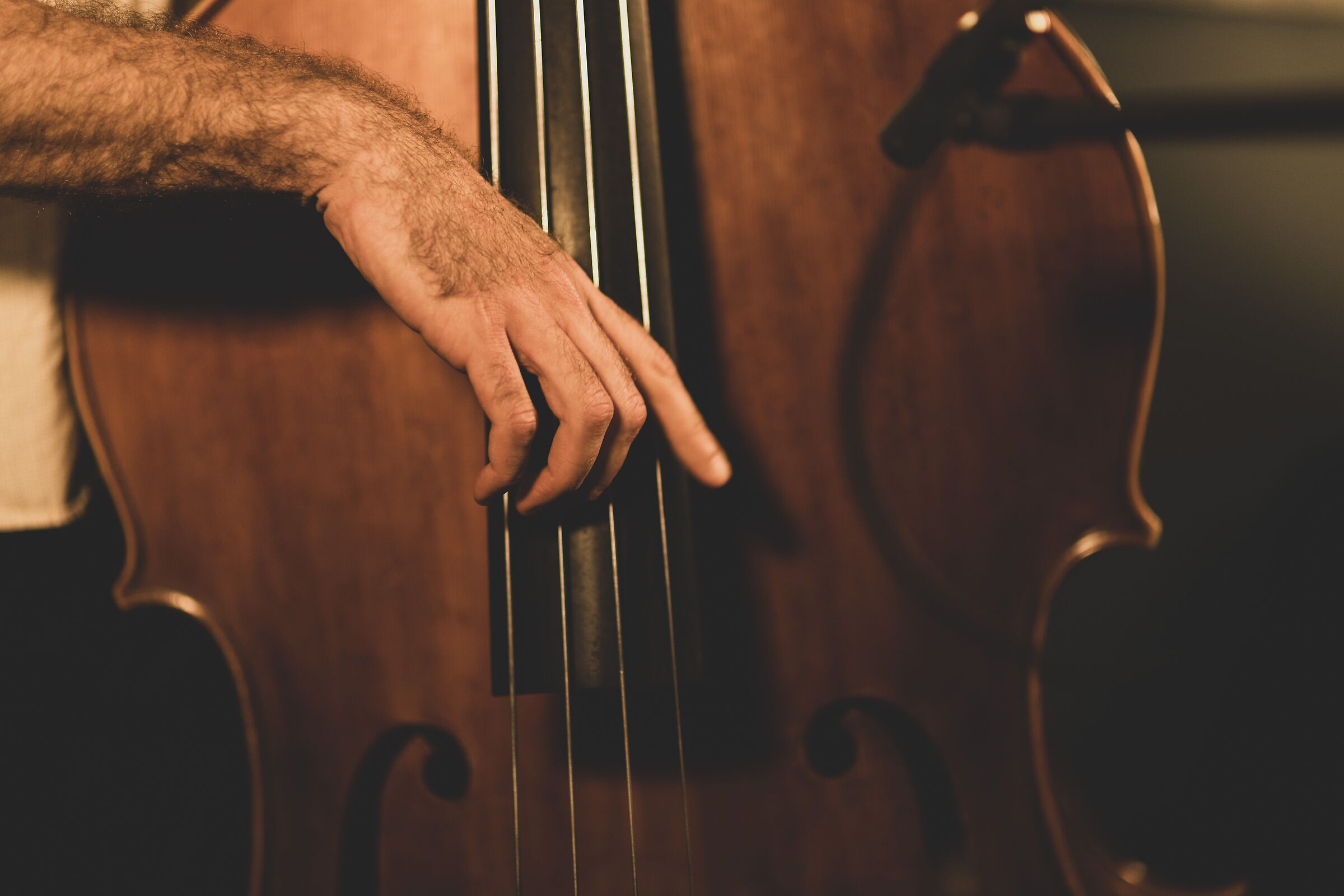 Double bass12