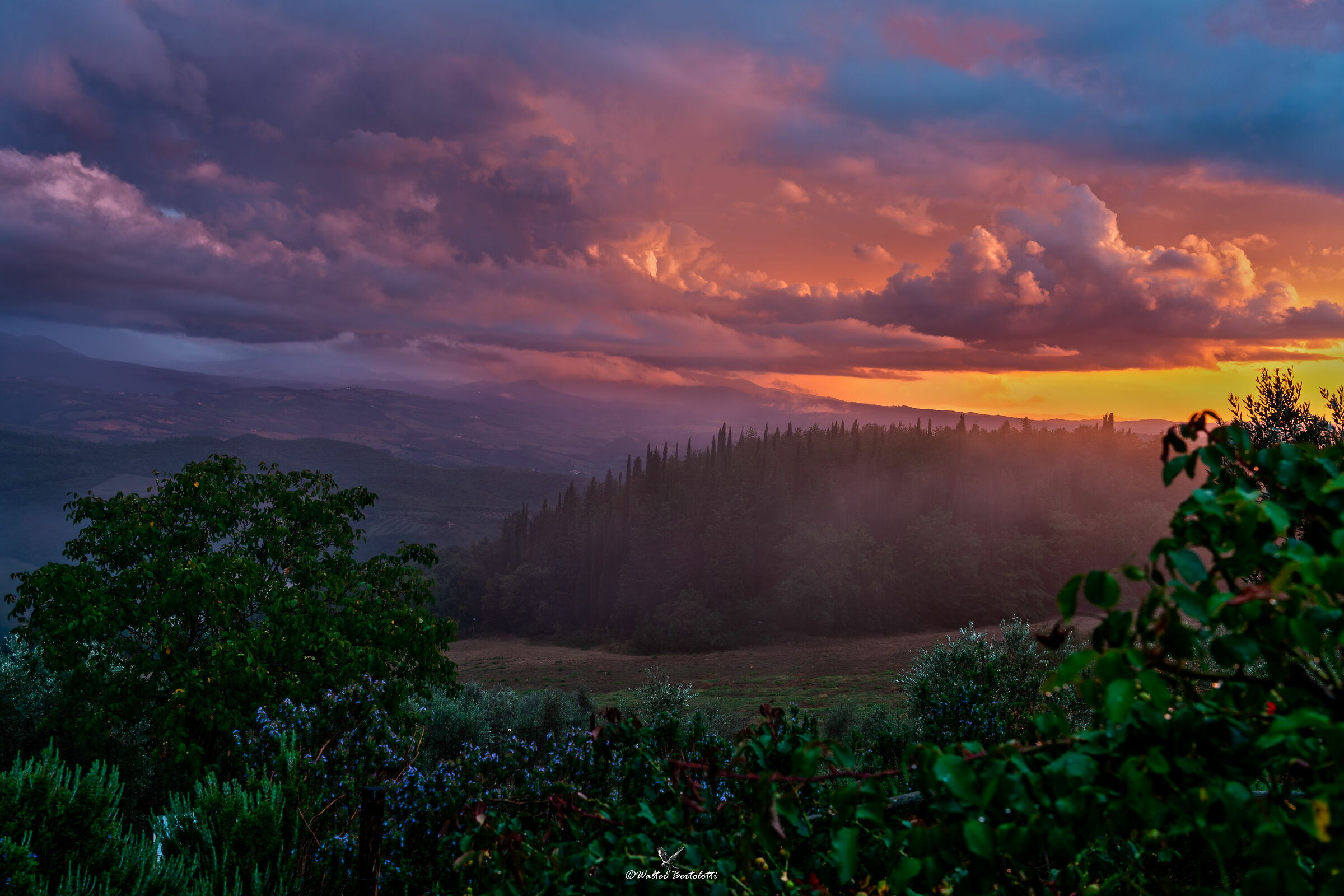 prepares for a rainy evening
